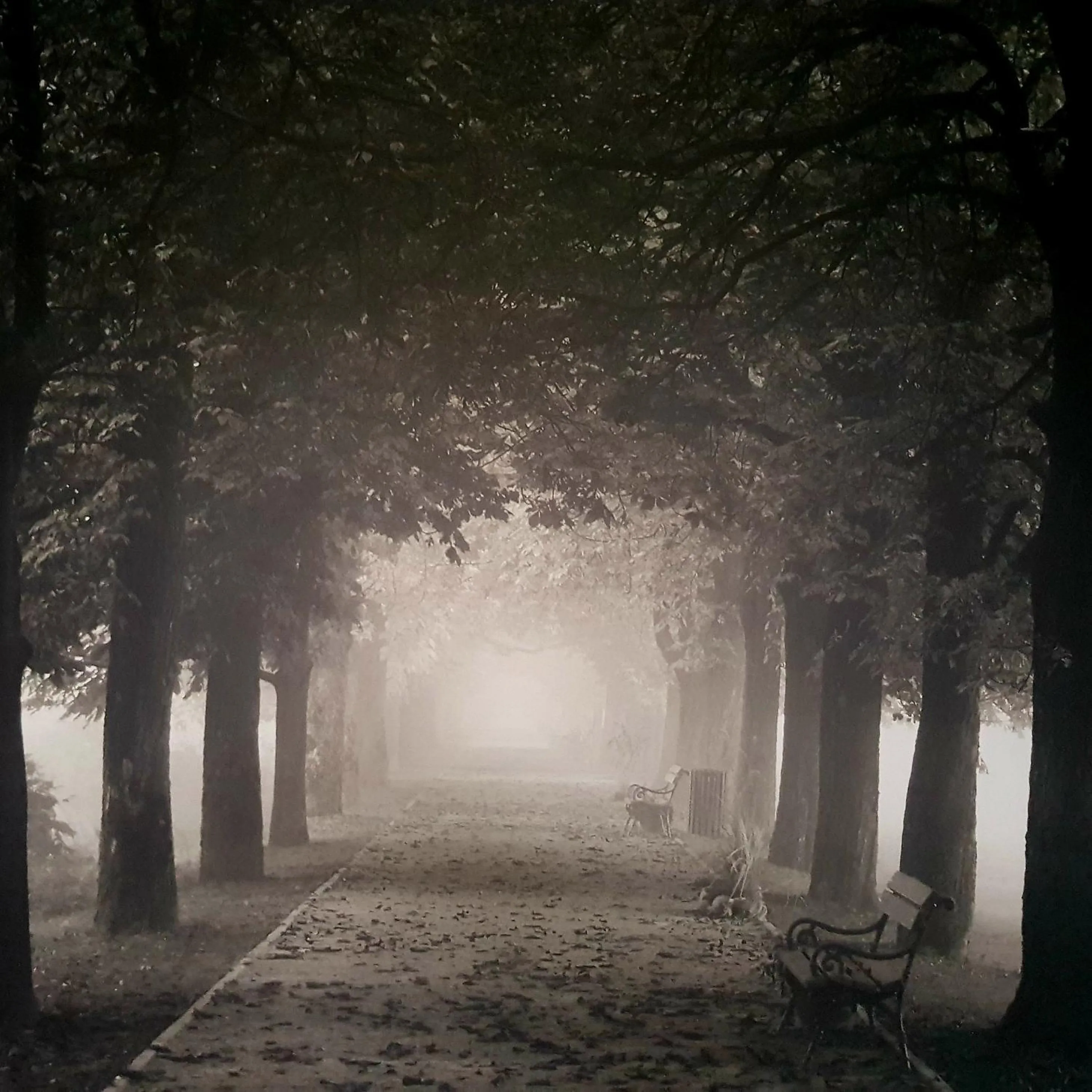 Decorative detail in Chatterley House