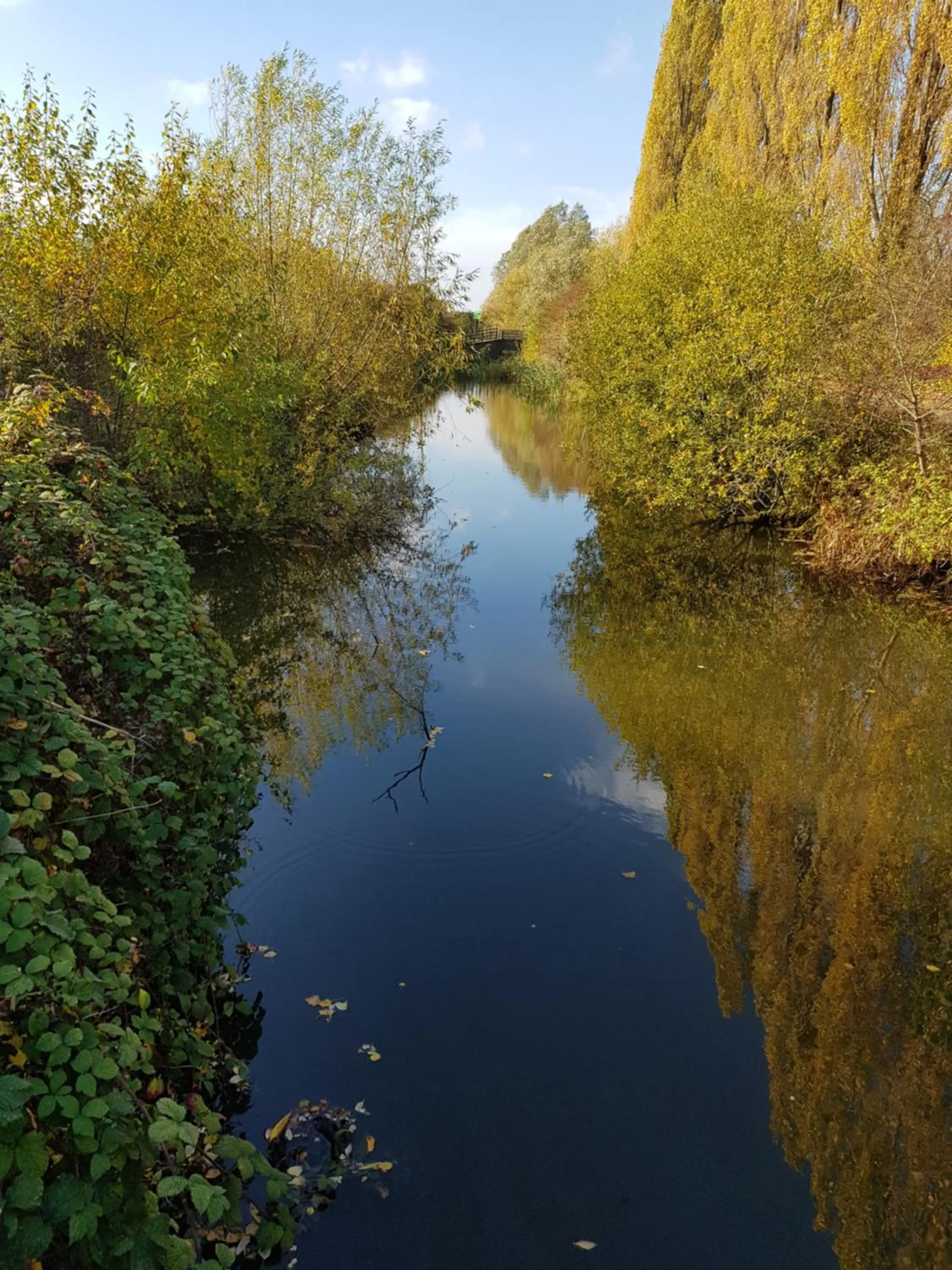 Natural landscape in Chatterley House