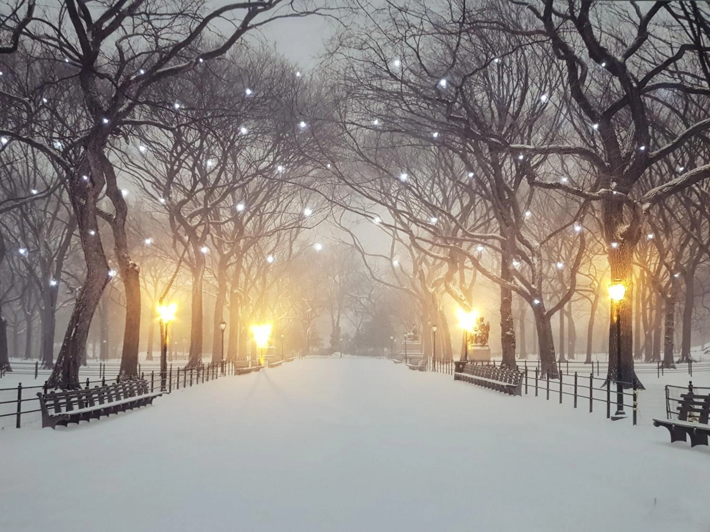 Decorative detail in Chatterley House