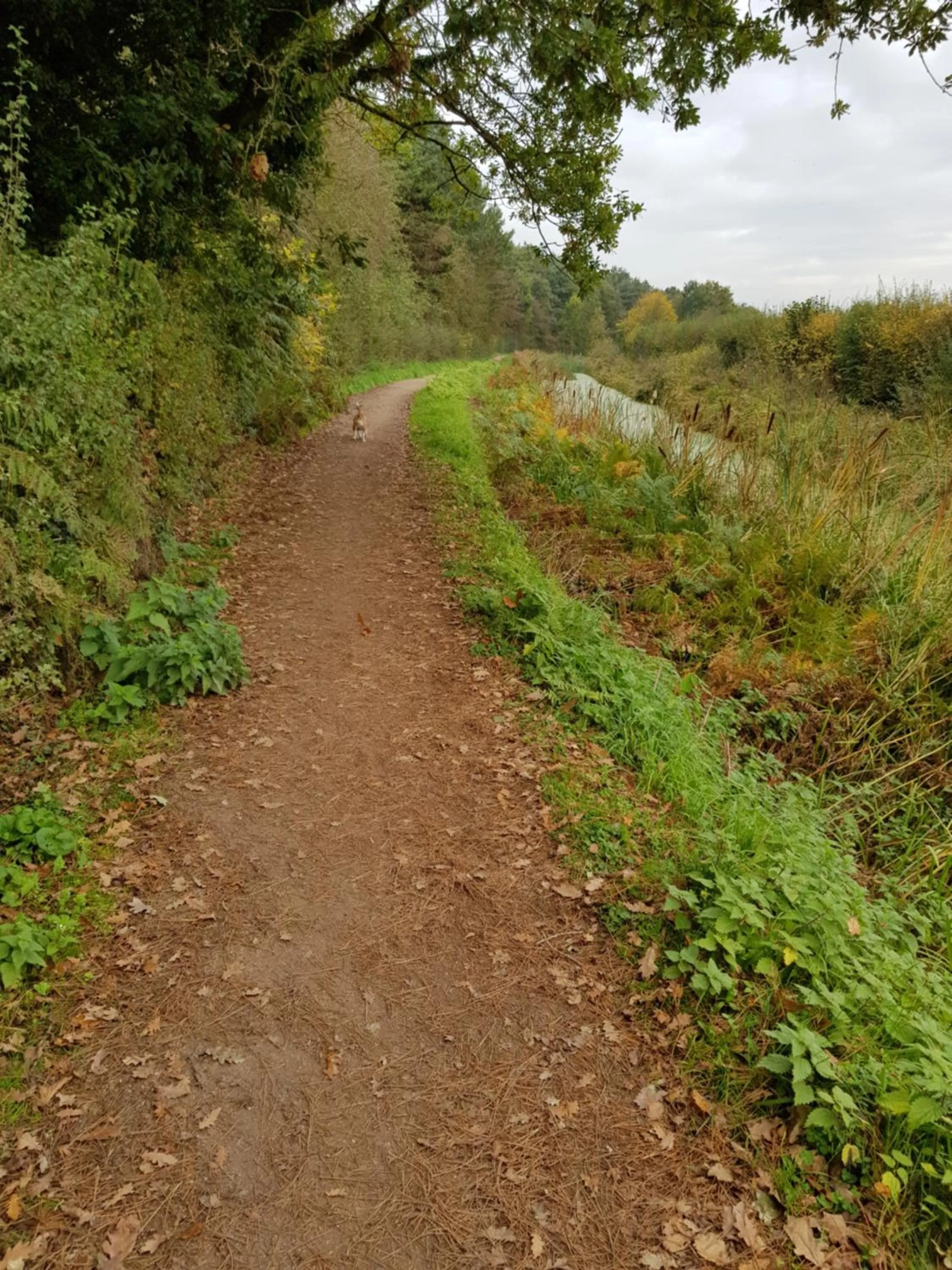 Natural landscape in Chatterley House