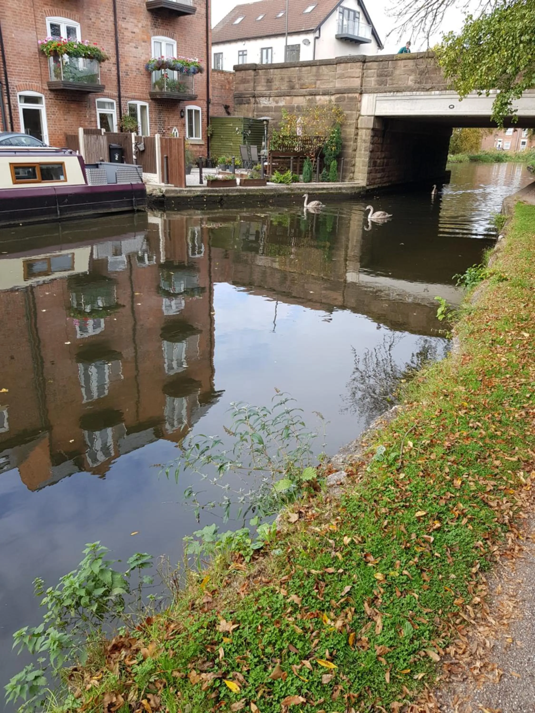 Neighbourhood in Chatterley House