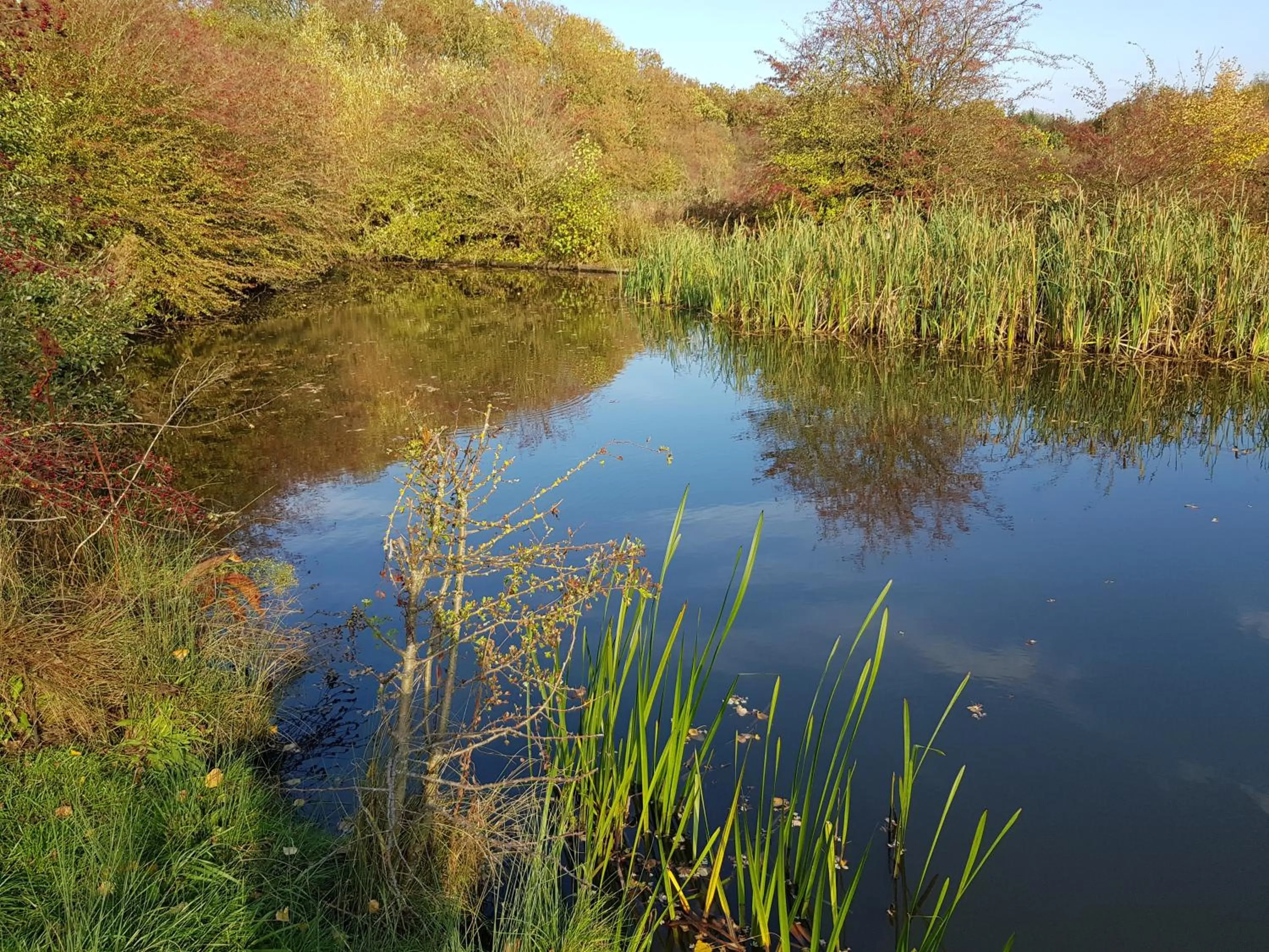 Natural landscape in Chatterley House