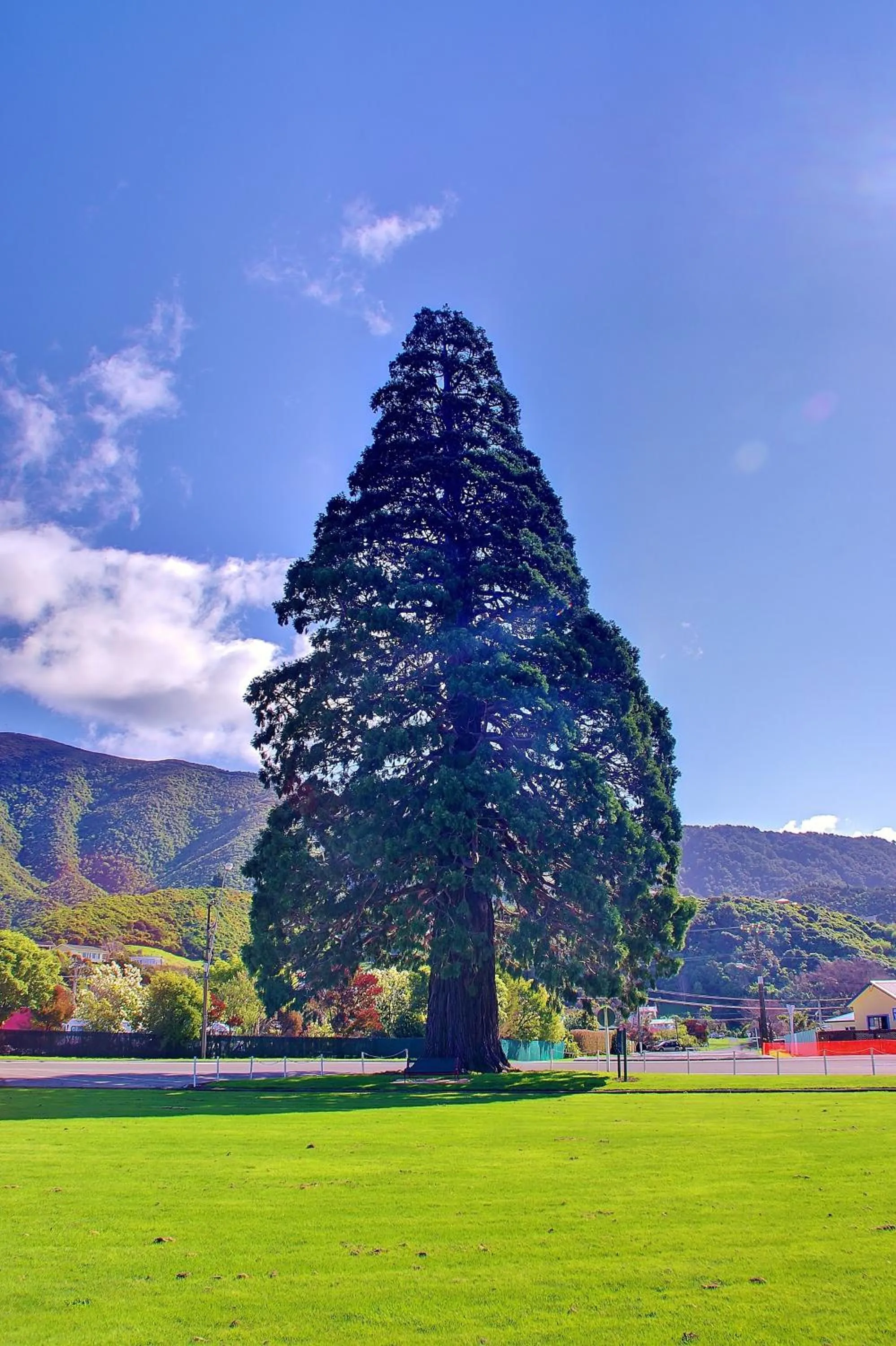 Area and facilities in Sequoia Lodge Backpackers