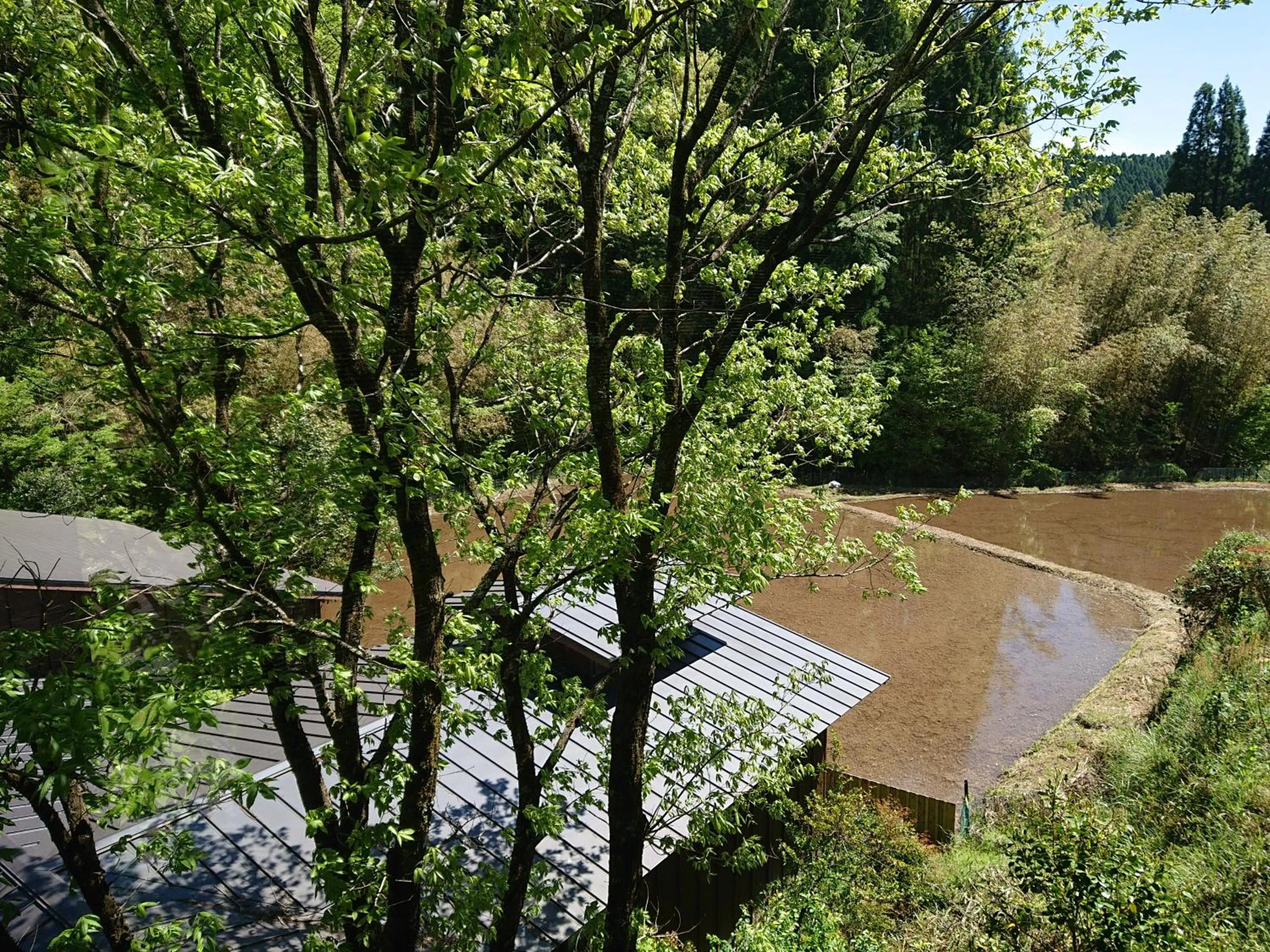 Natural landscape in Kurokawa Onsen Ryokan Ichinoi