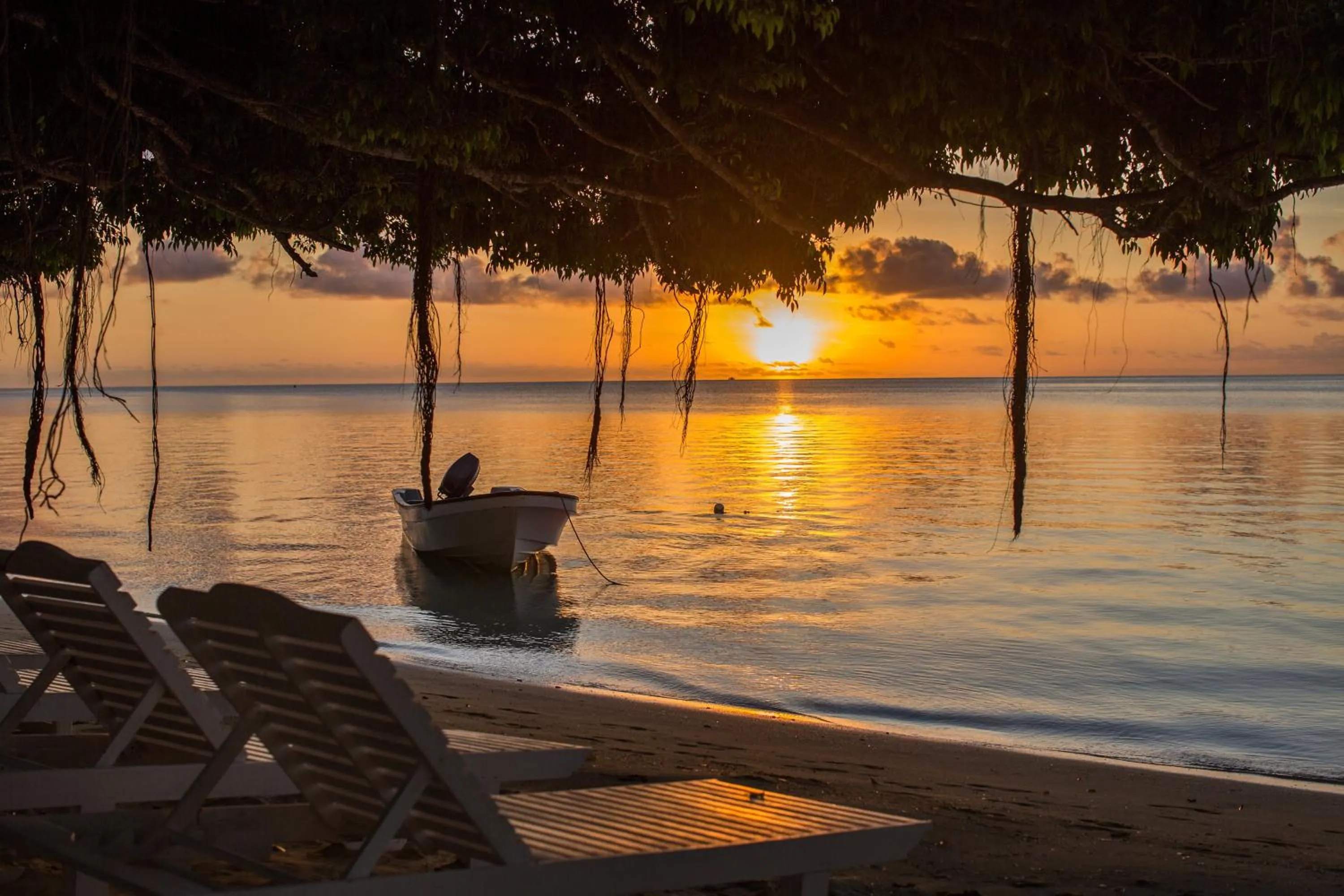 View (from property/room) in Lomani Island Resort & Spa