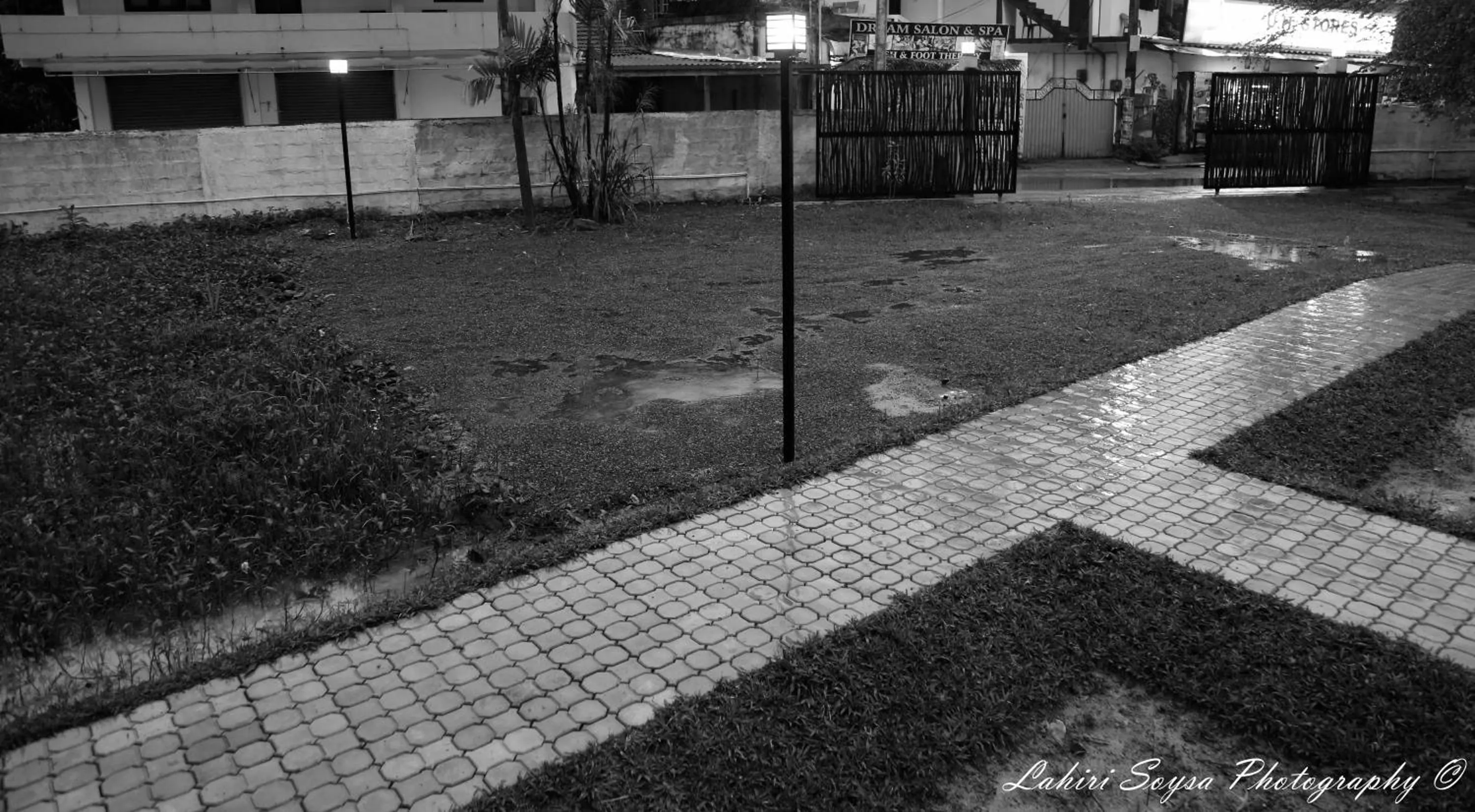 Garden view in MA Villa Unawatuna