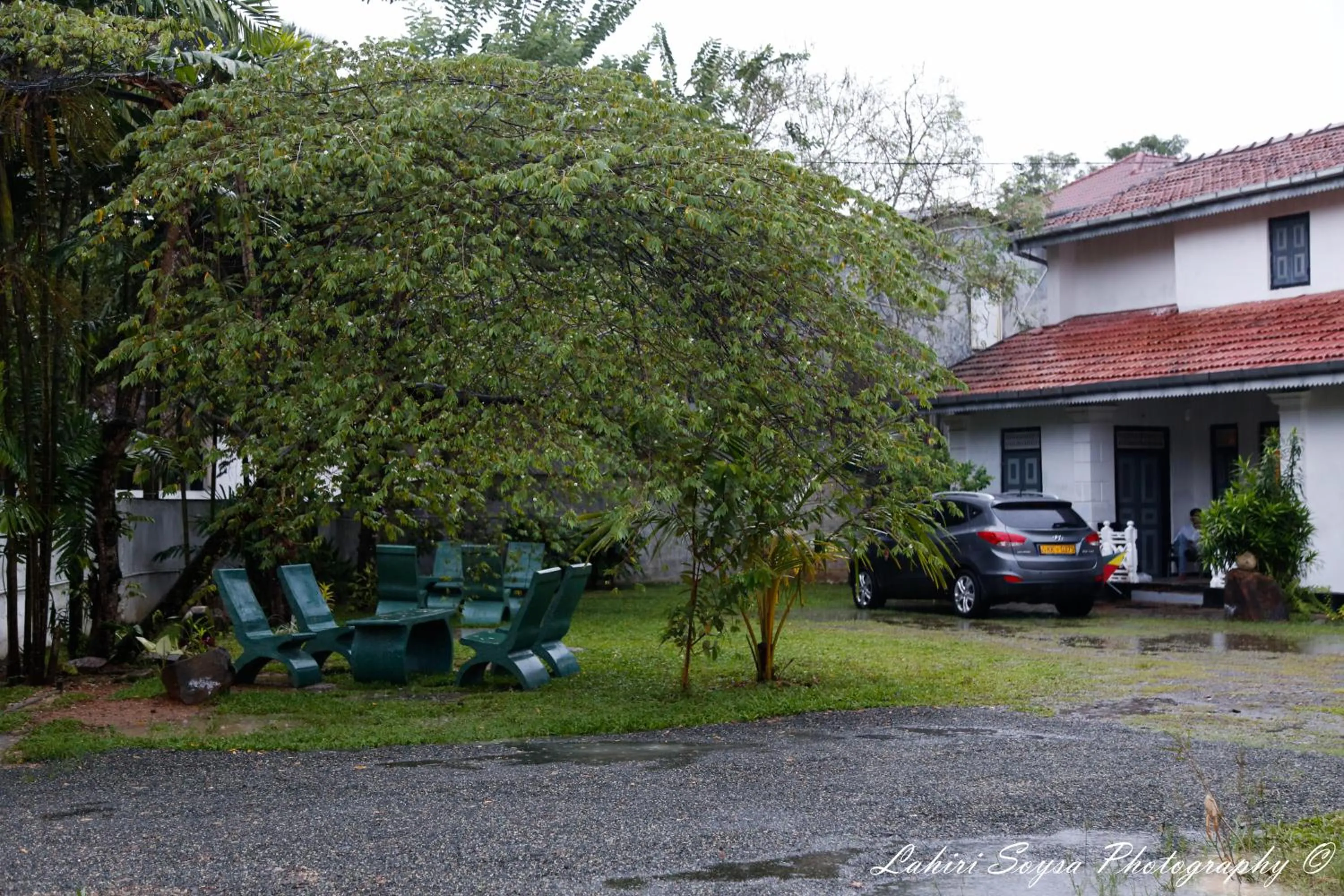 Garden view in MA Villa Unawatuna