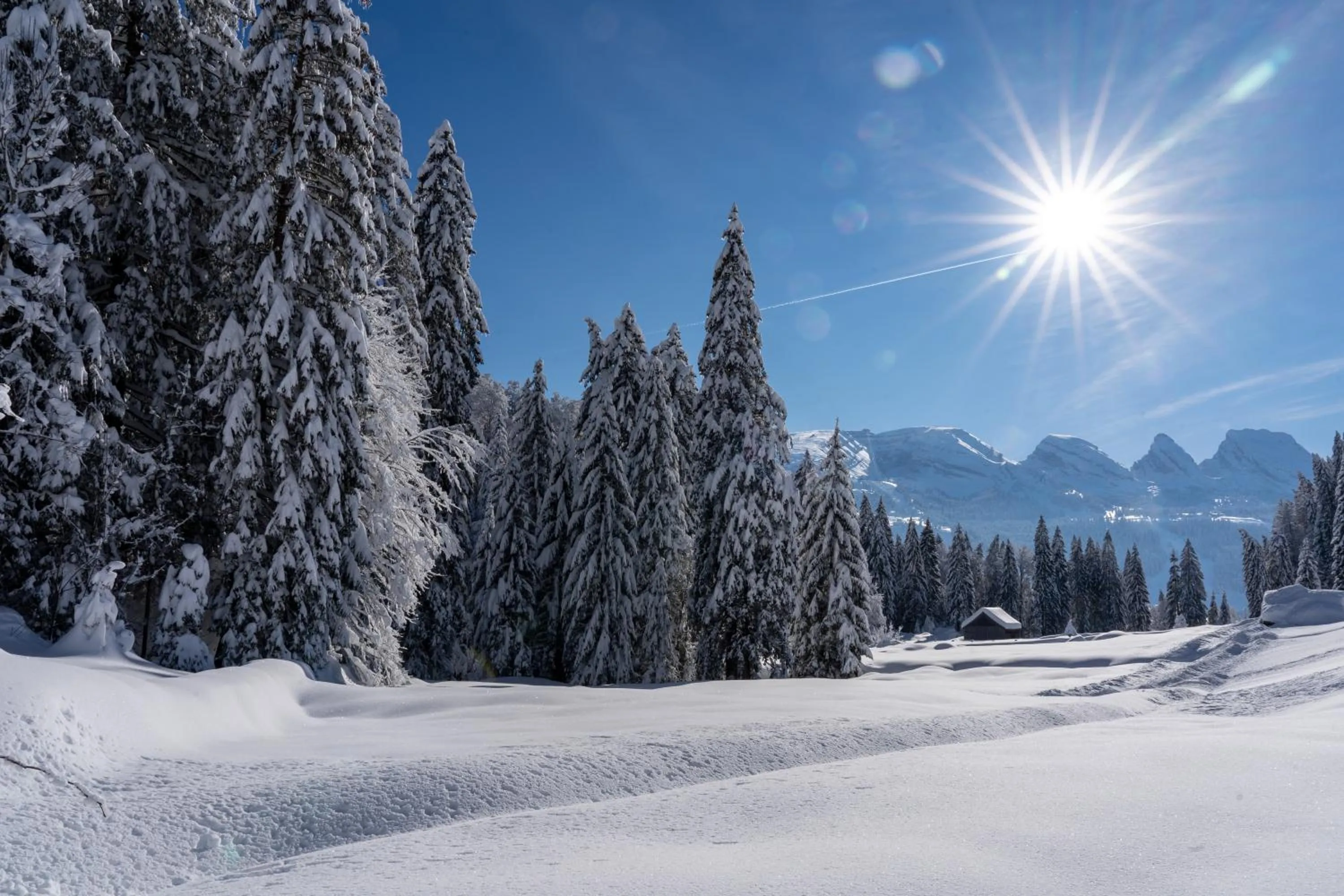 Natural landscape in Hotel Restaurant Rössli