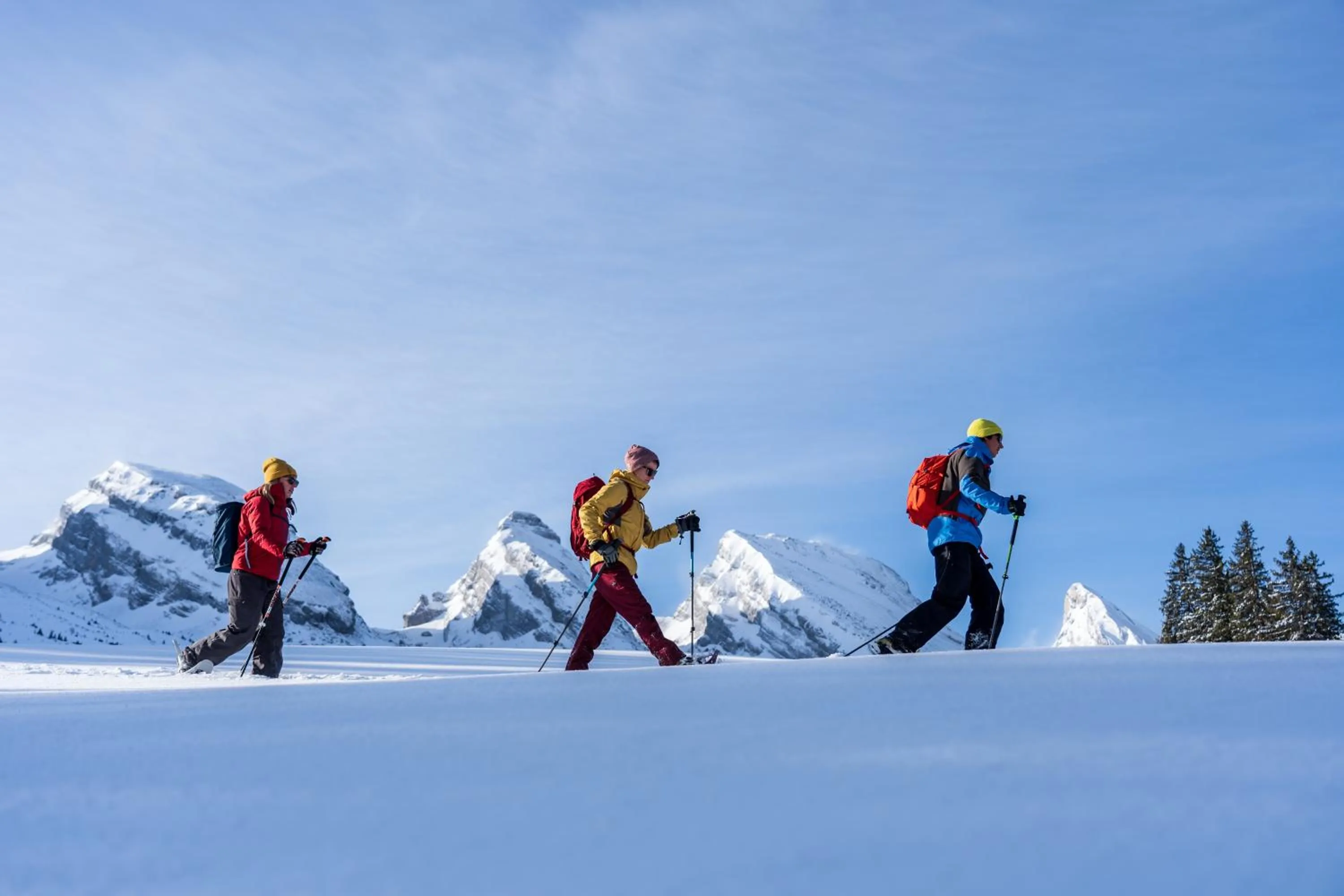 Natural landscape in Hotel Restaurant Rössli