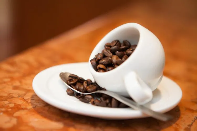 Drinks in Nights In Rome