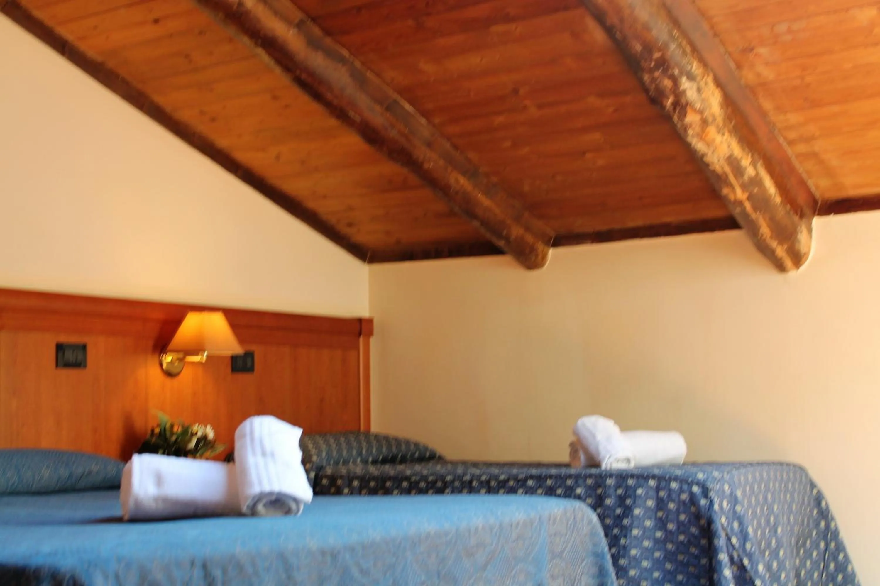 Bed in Nights In Rome