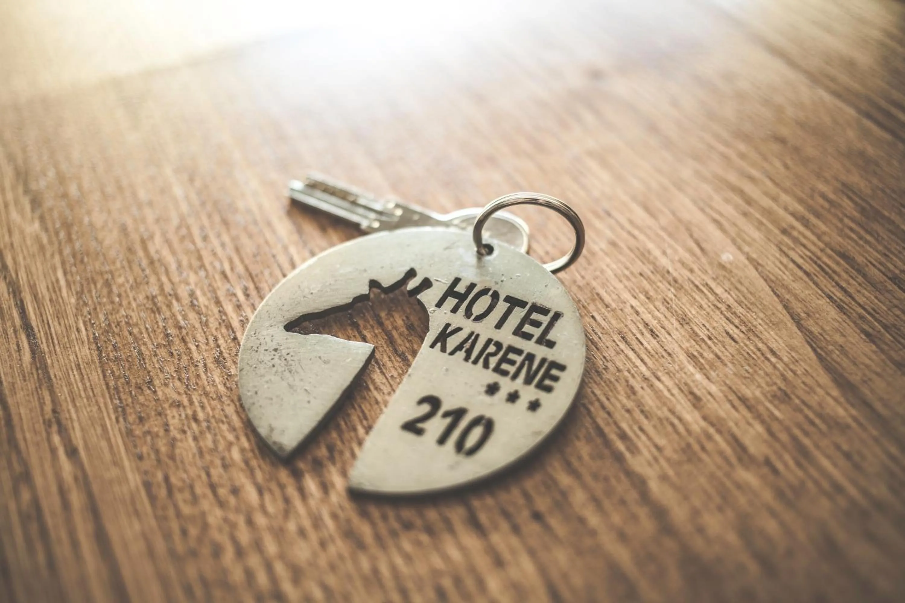 Property logo or sign in Hôtel Karène