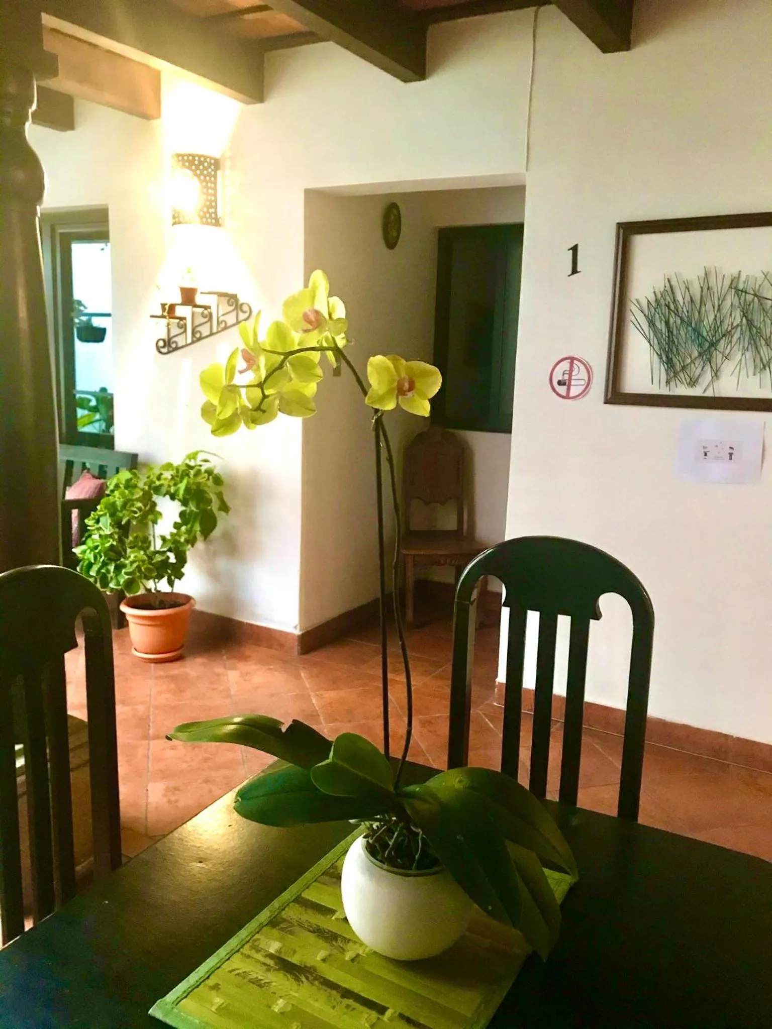 View (from property/room) in Hotel la Galería