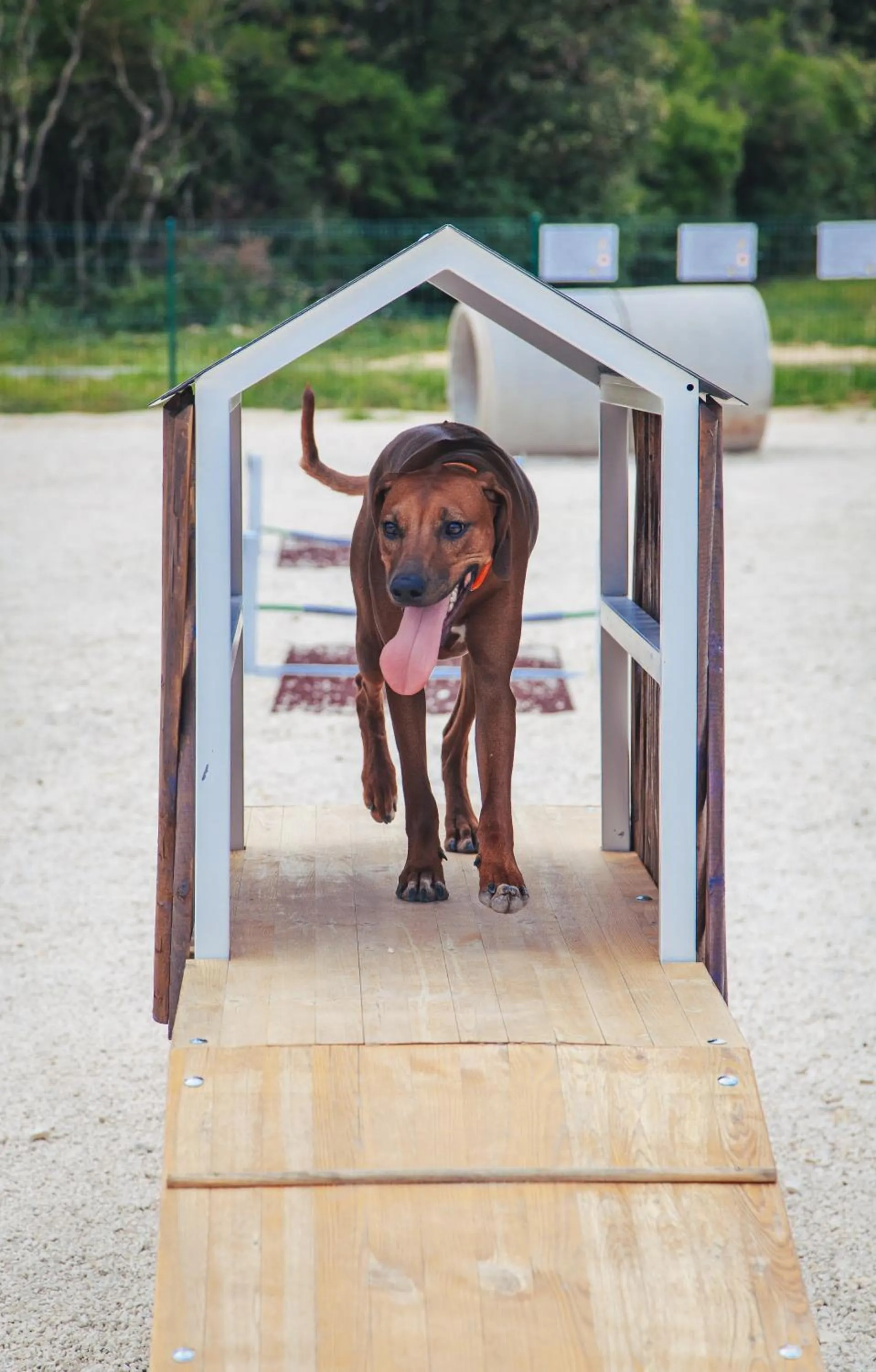 Day in Camping Homes Mon Perin