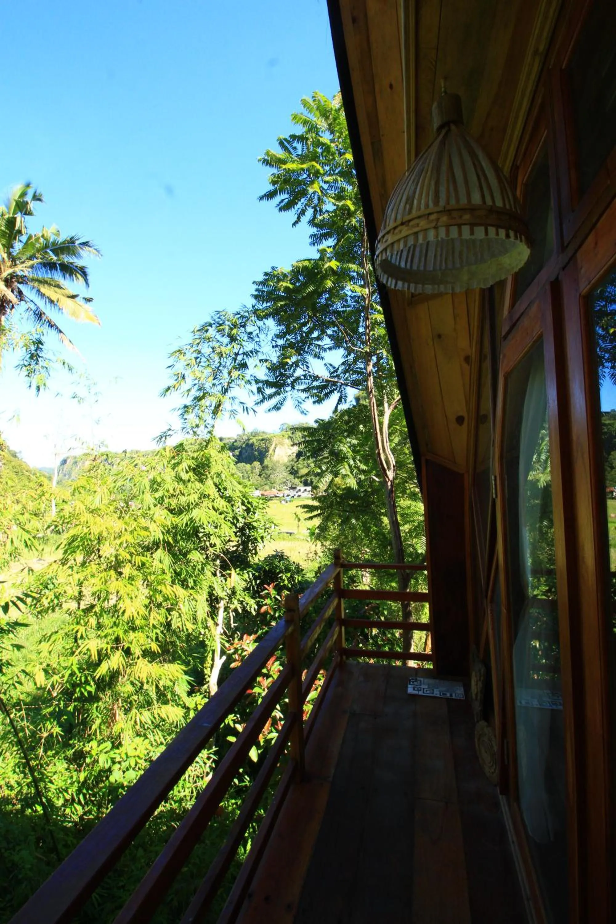 Balcony/Terrace in Padi Ecolodge