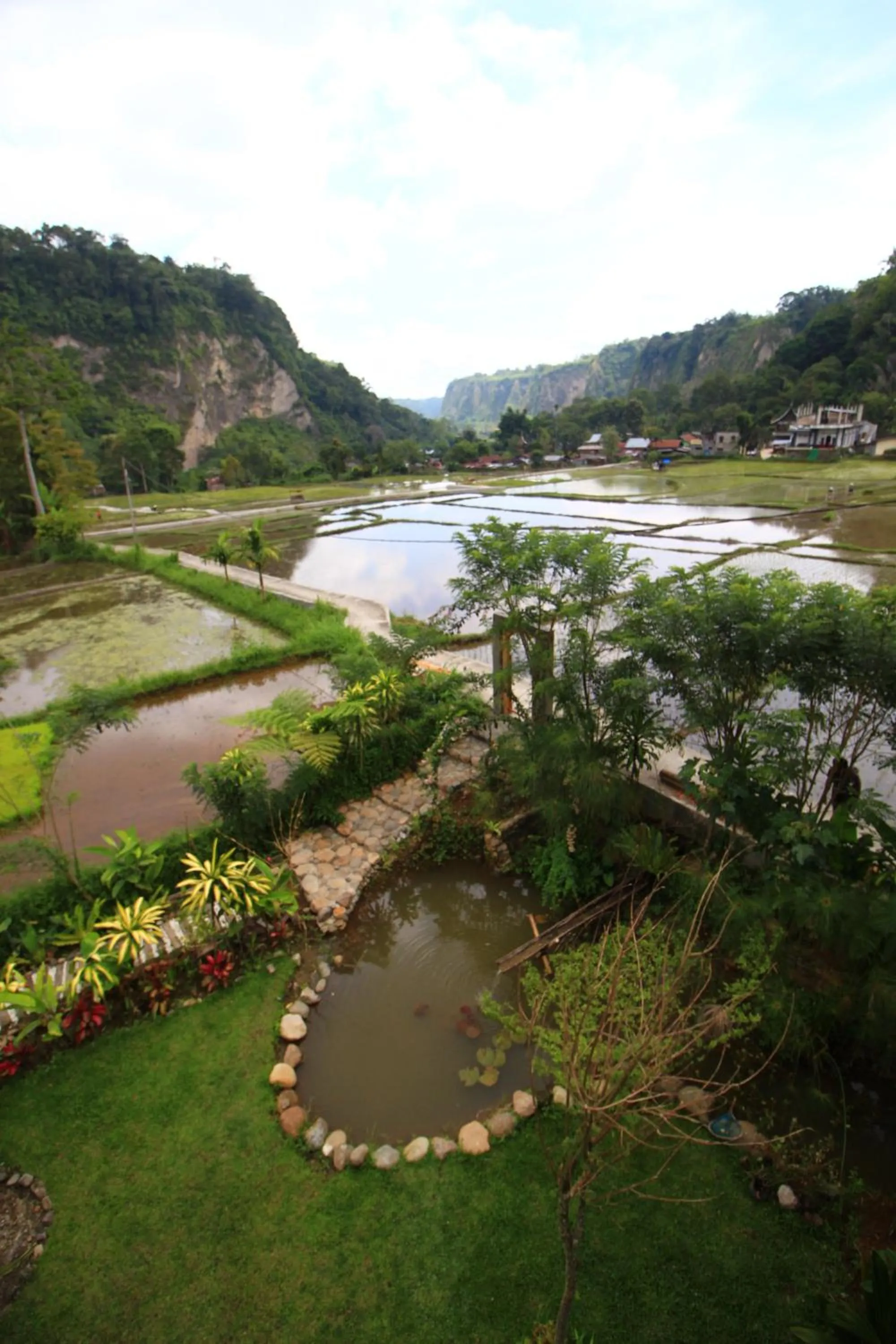 Garden view in Padi Ecolodge