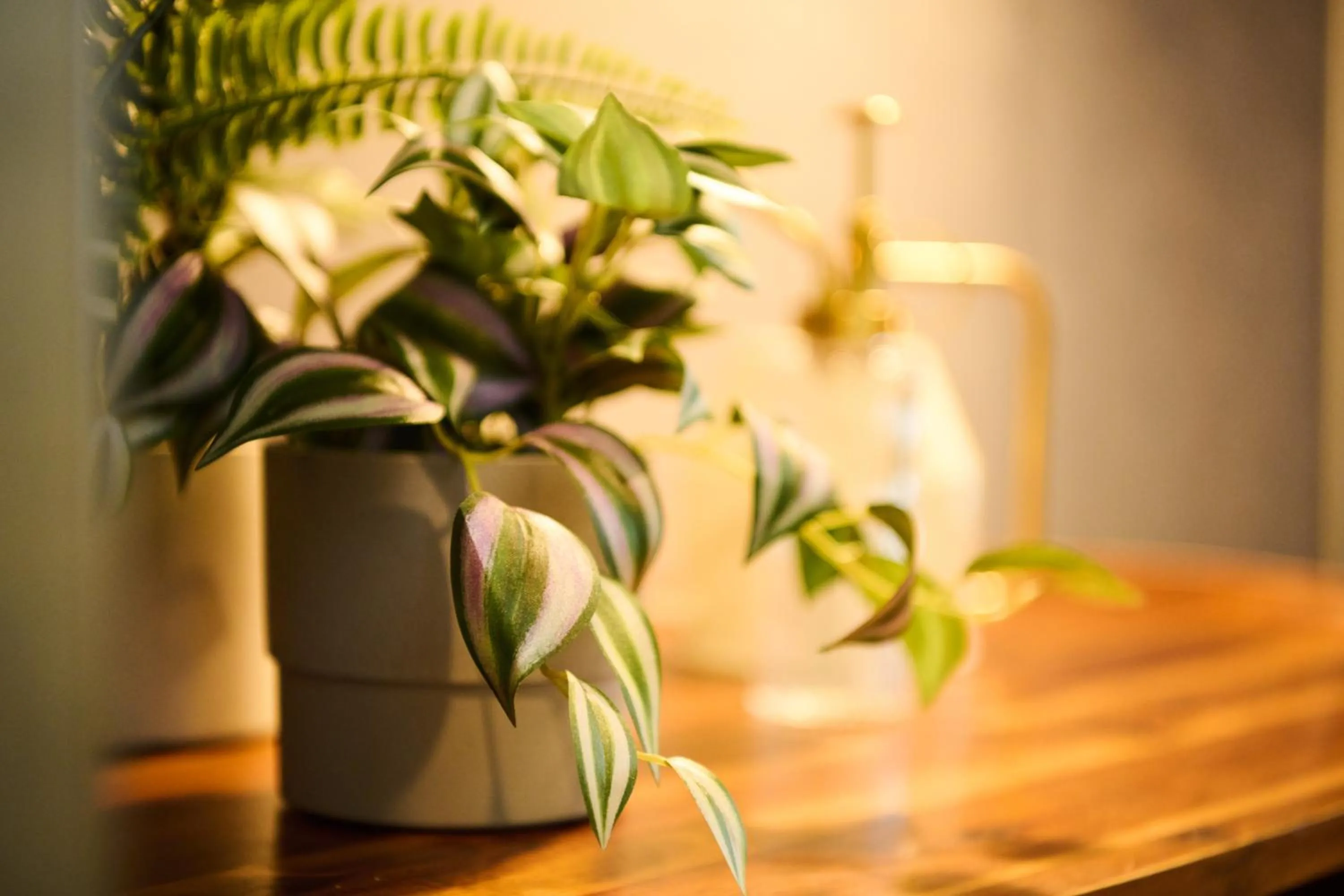 Residence Hotel Stripe Sapporo