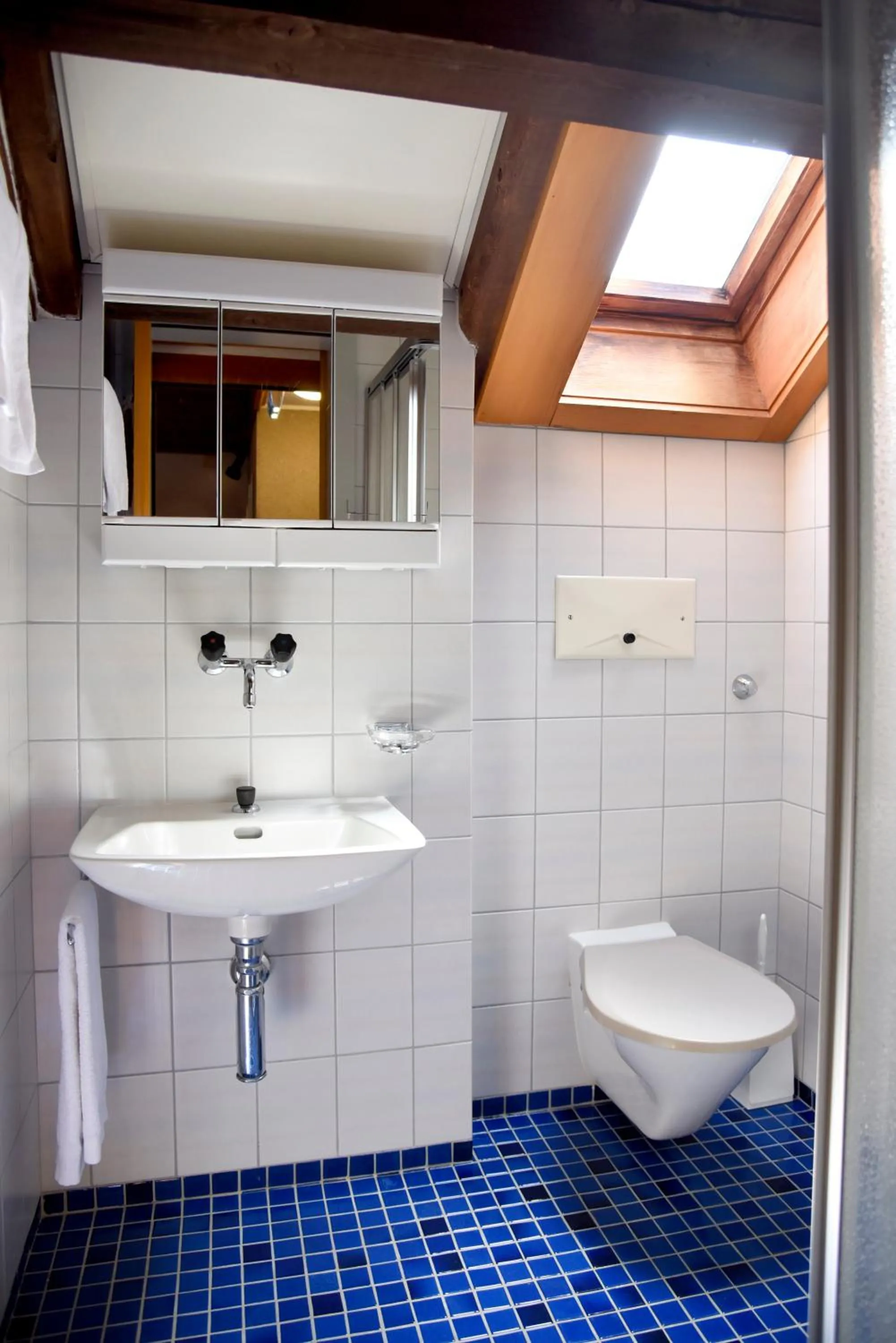 Toilet in Albergo Lardi
