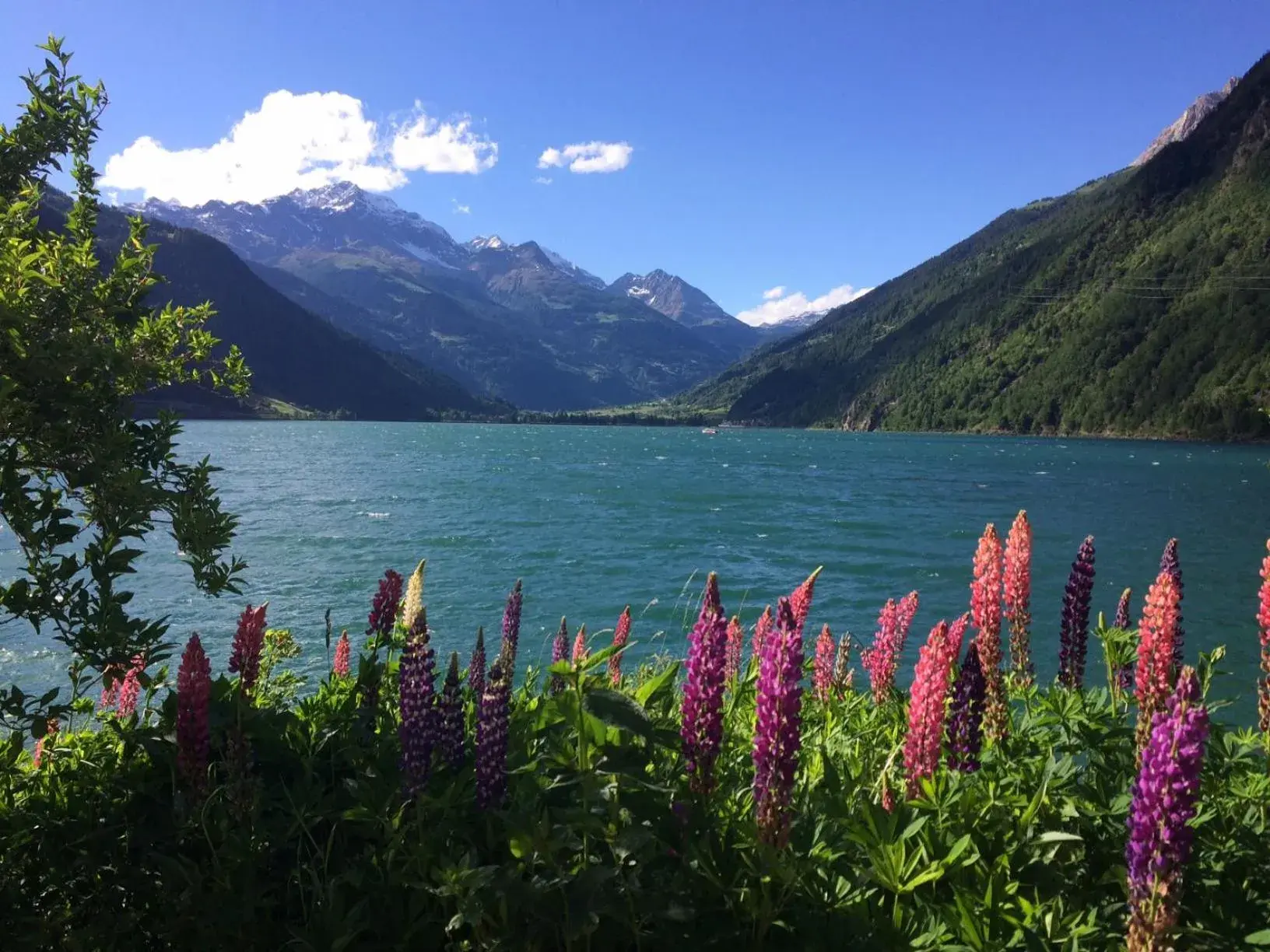 Double or Twin Room in Albergo Lardi Double or Twin Room in Albergo Lardi