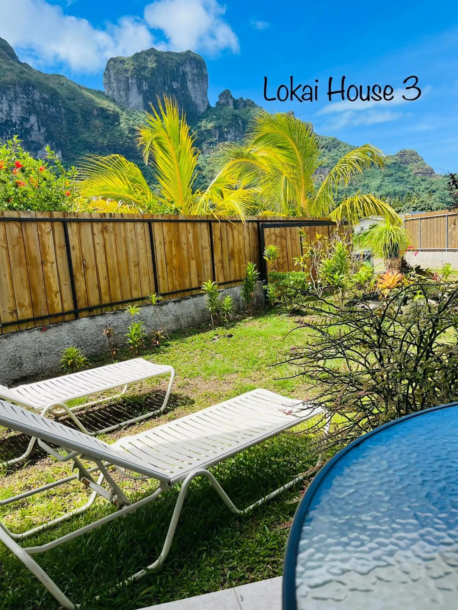 Lokai house