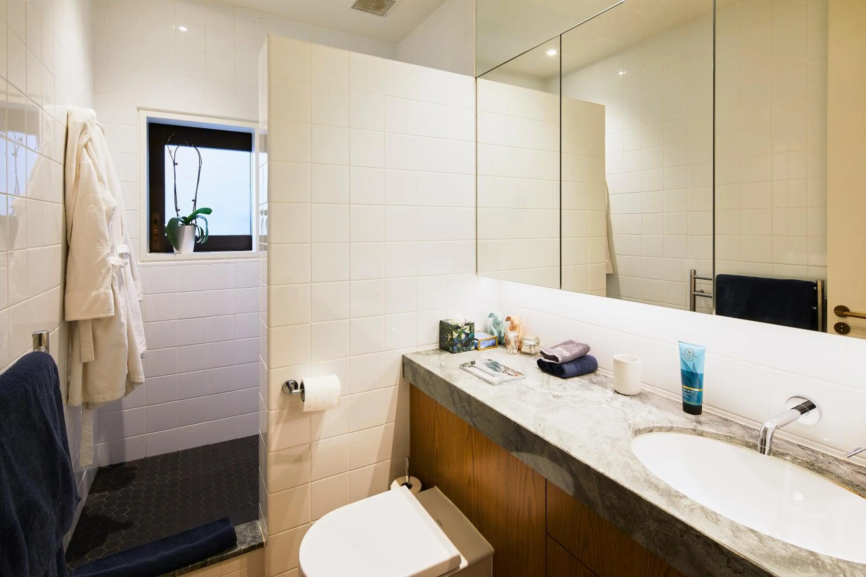 Toilet in Newton Heights