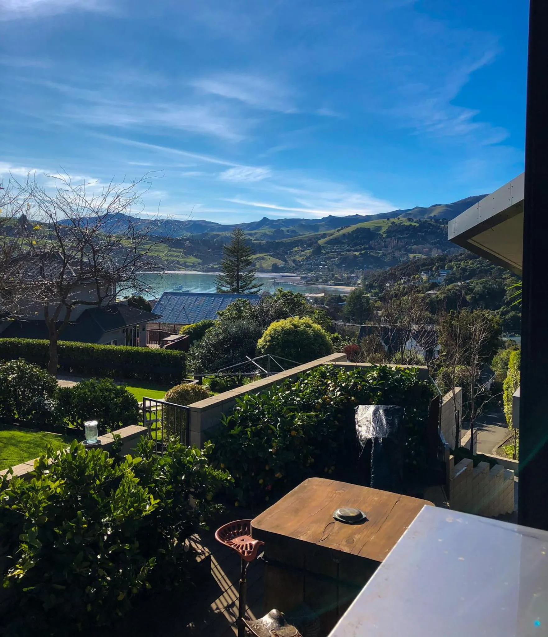 Garden view in Newton Heights