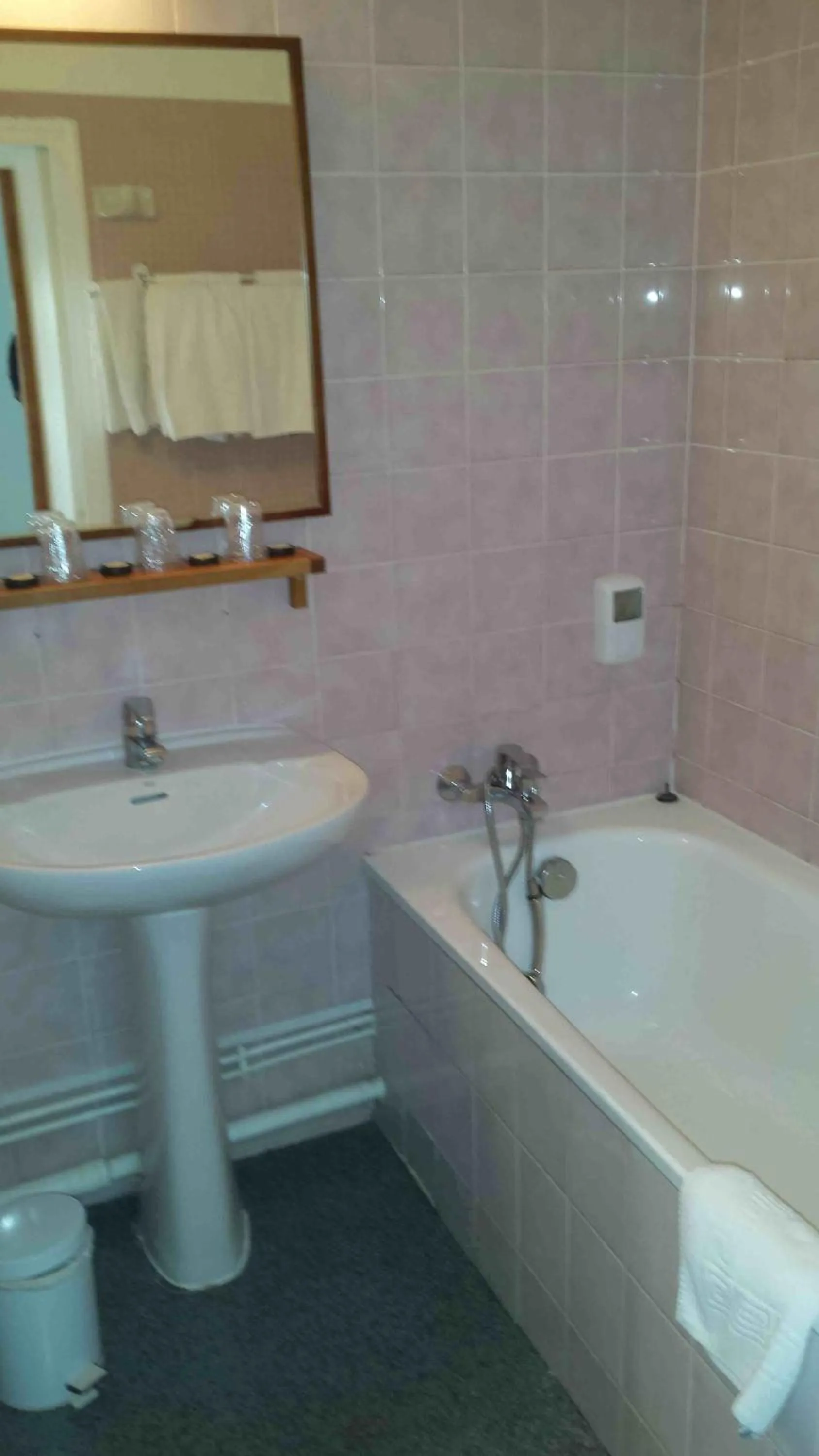 Bathroom in Grand Hotel de l'étoile