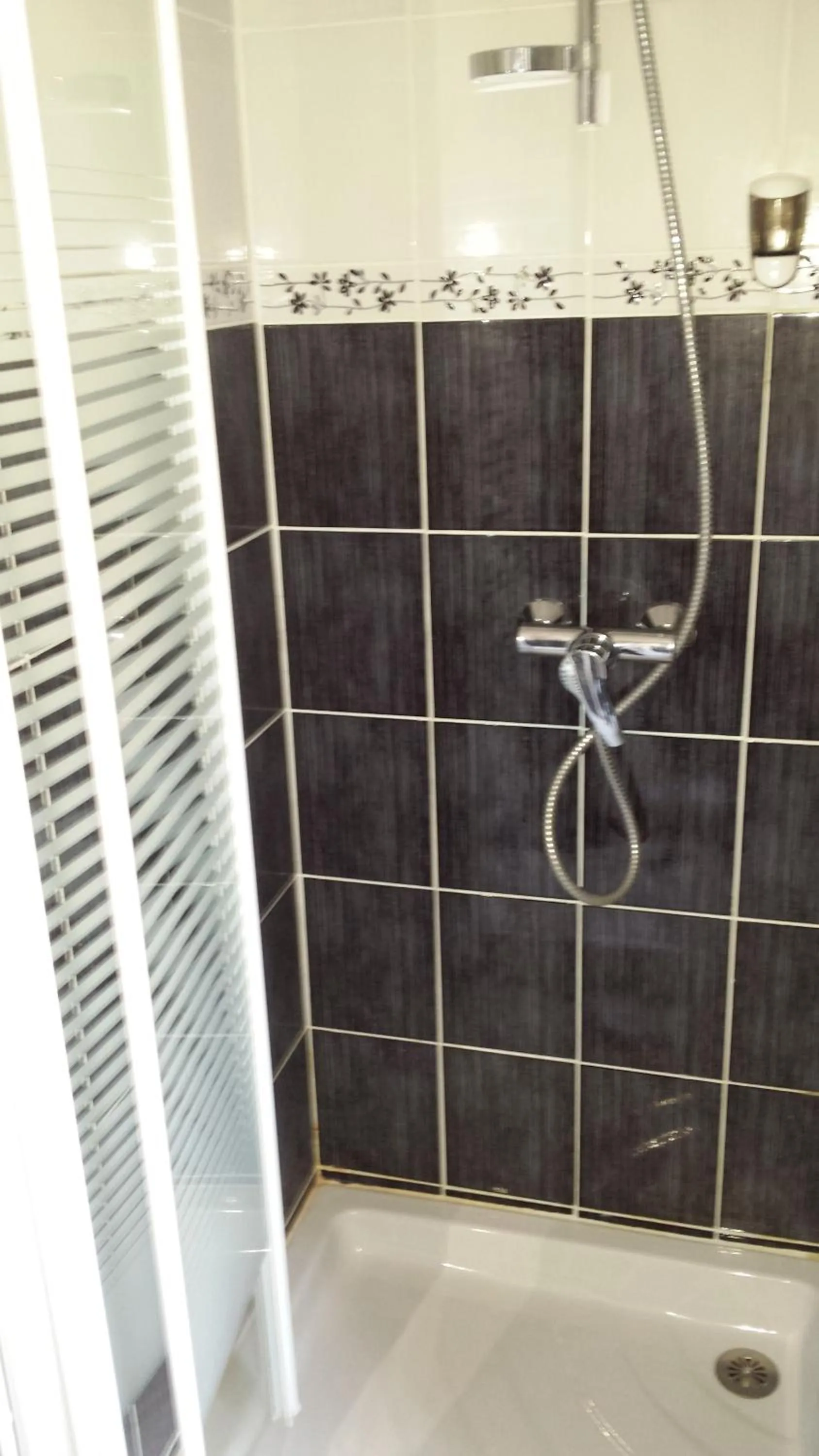 Shower, Bathroom in Grand Hotel de l'étoile