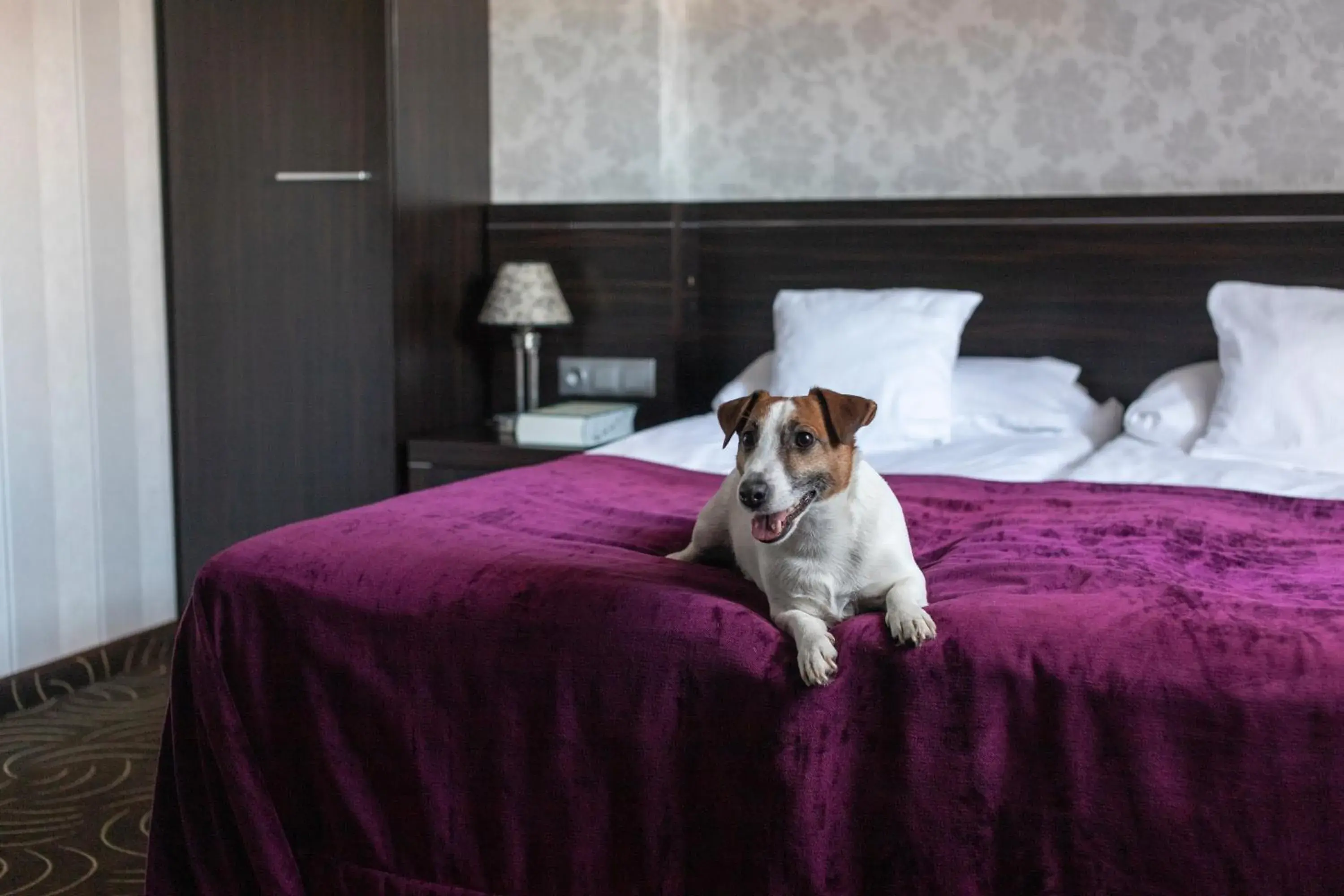 Premium Double Room with Sofa in Hotel Racibor Premium Double Room with Sofa in Hotel Racibor