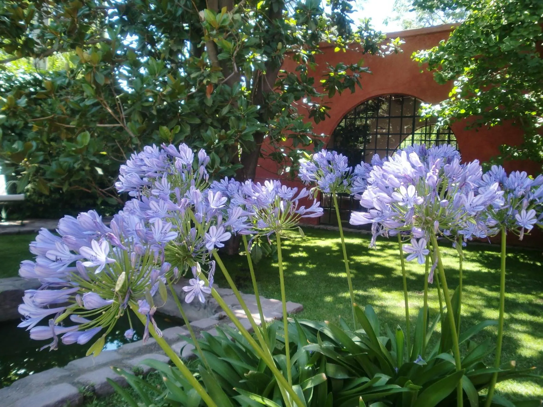 Garden in Finca Adalgisa