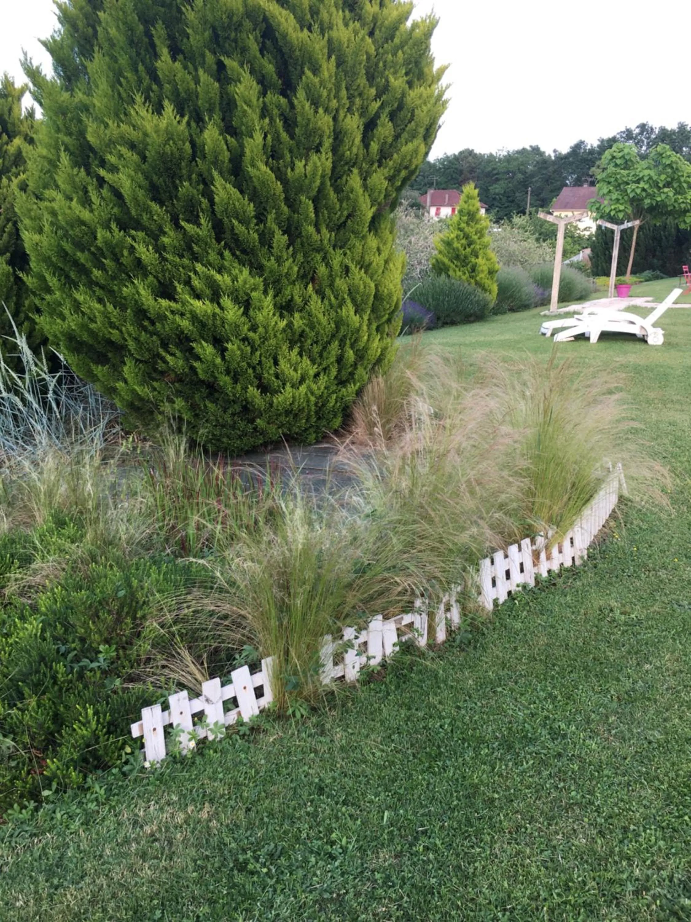 Garden in Chambre d'hôtes Le clos de Rapevache