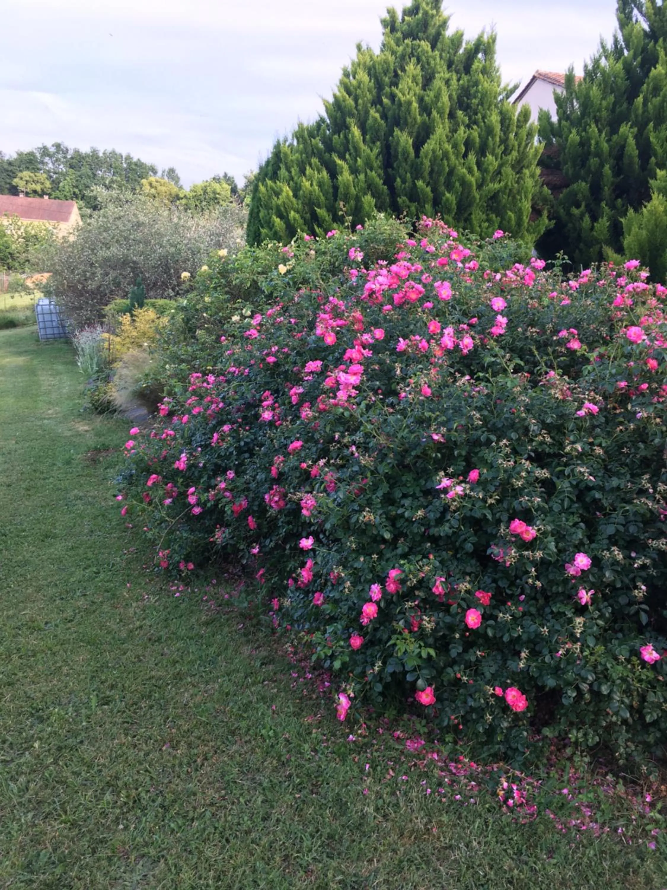 Garden in Chambre d'hôtes Le clos de Rapevache
