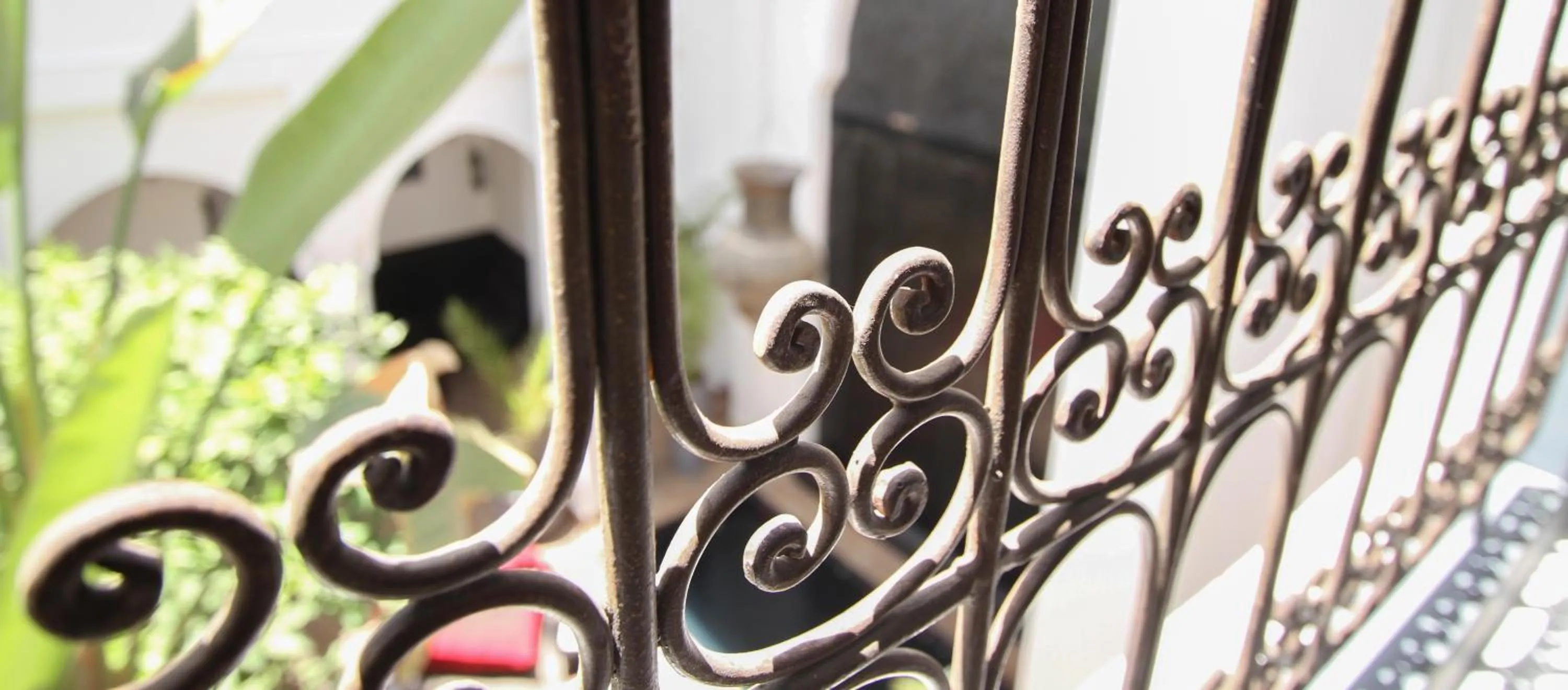 Garden view in Riad 64 Maison D'hôtes & Spa