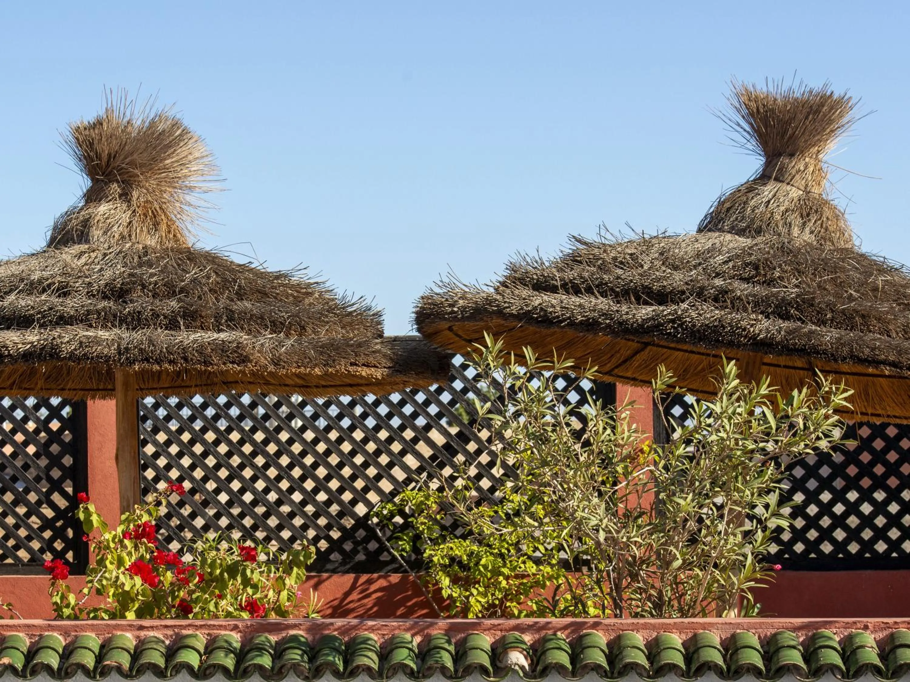 Riad 64 Maison D'hôtes & Spa