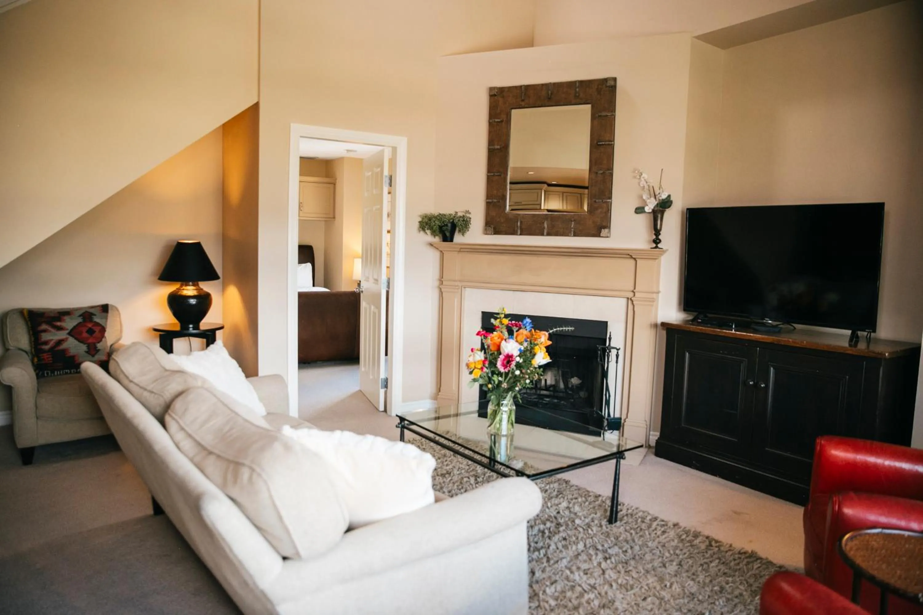 TV and multimedia in Carleton Lodge