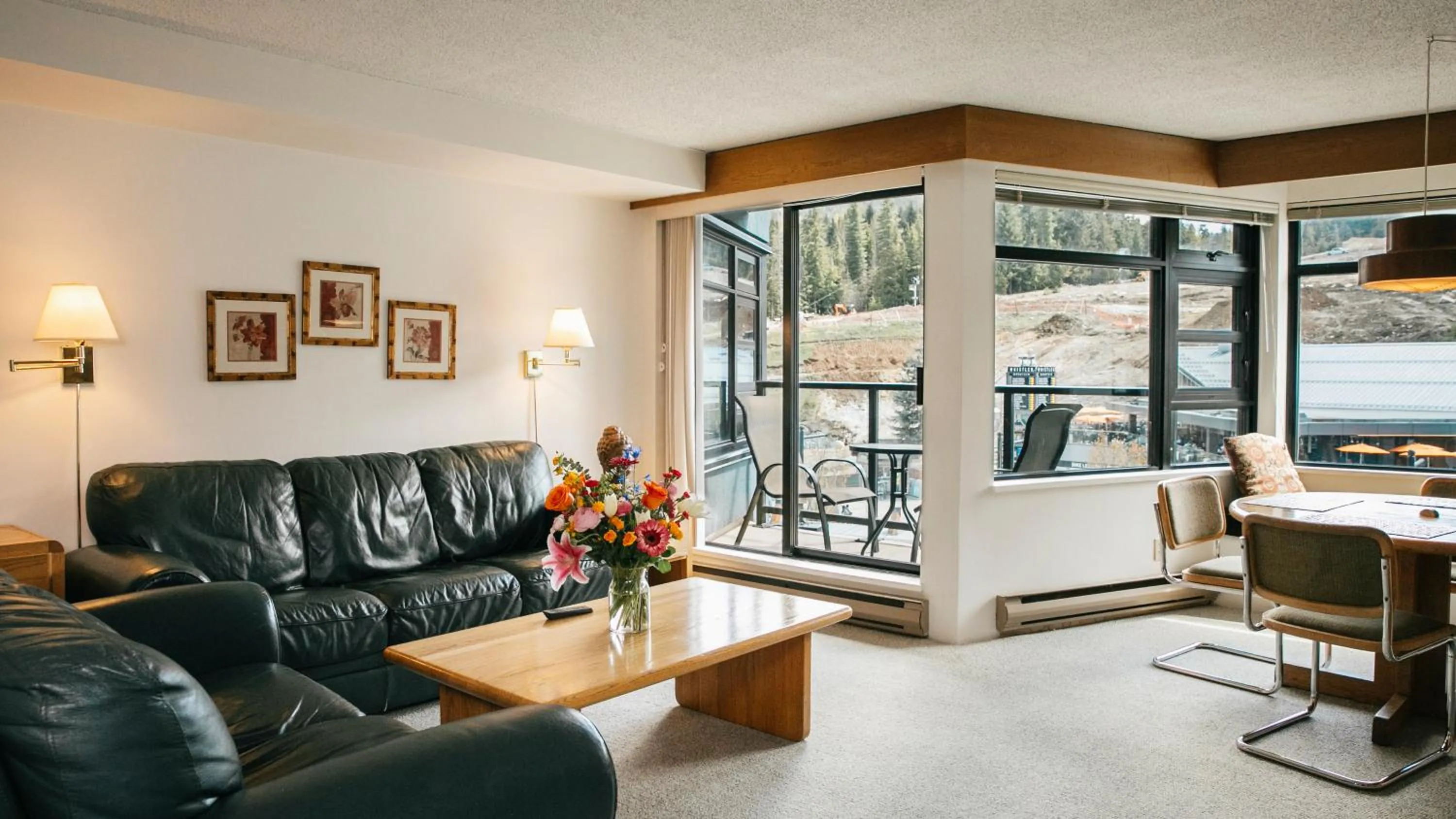 View (from property/room) in Carleton Lodge