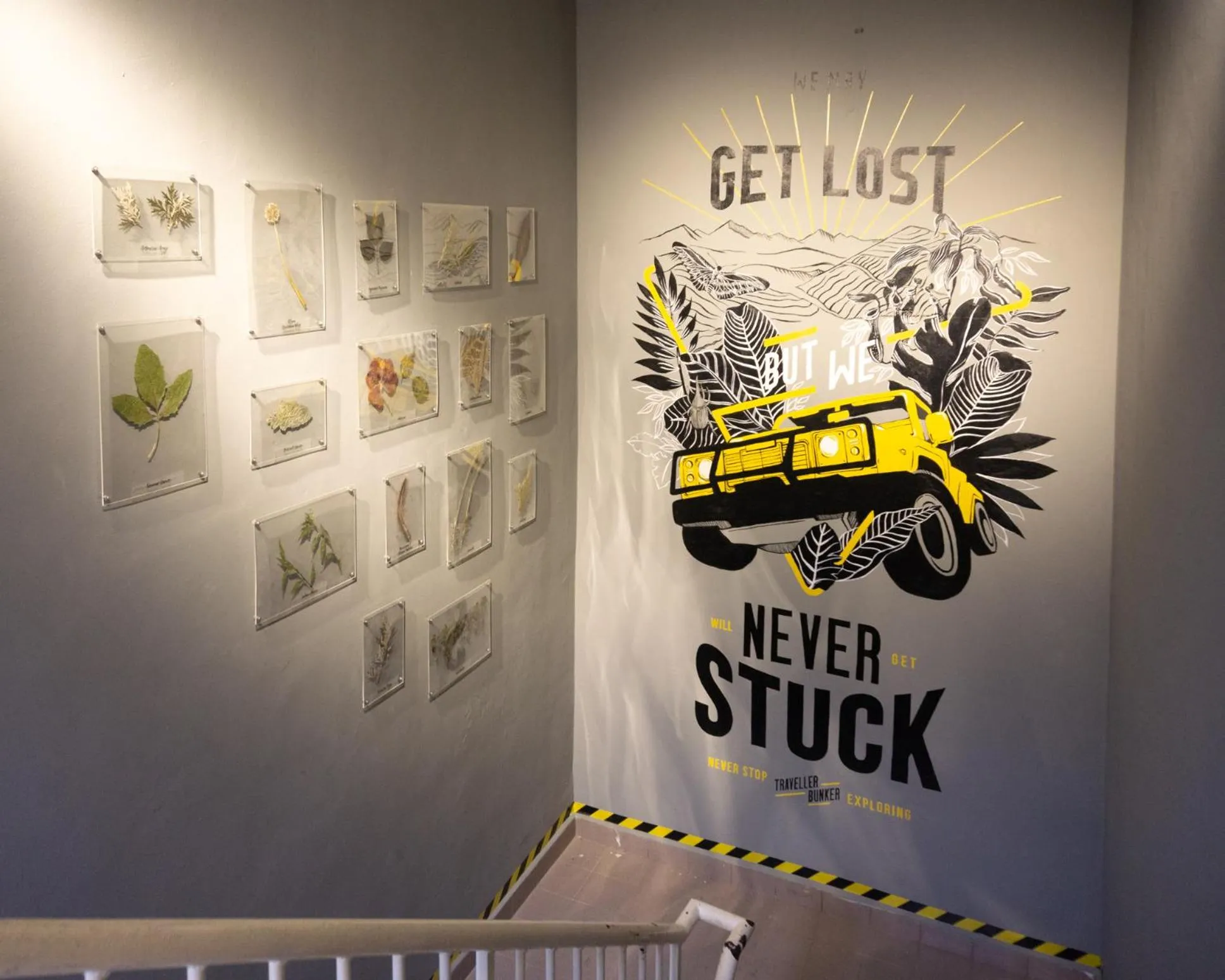 Traveller Bunker Hostel 1