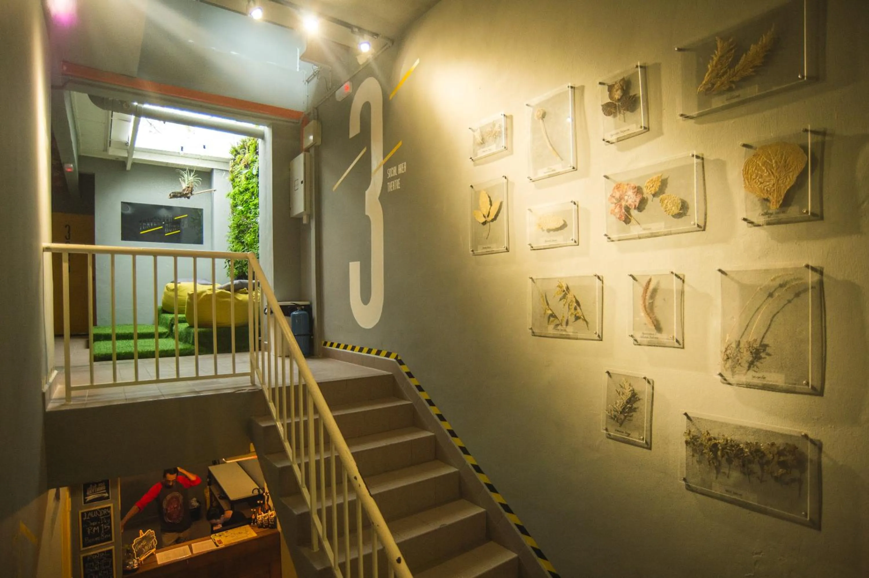 Traveller Bunker Hostel 1