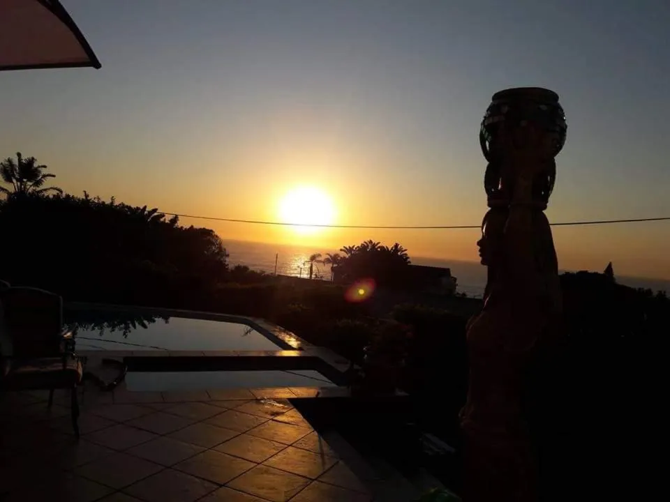 Sunset in Song of the Whales