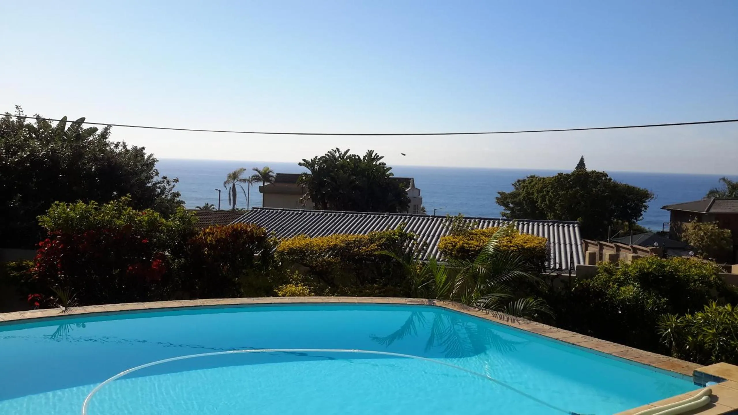 Pool view in Song of the Whales