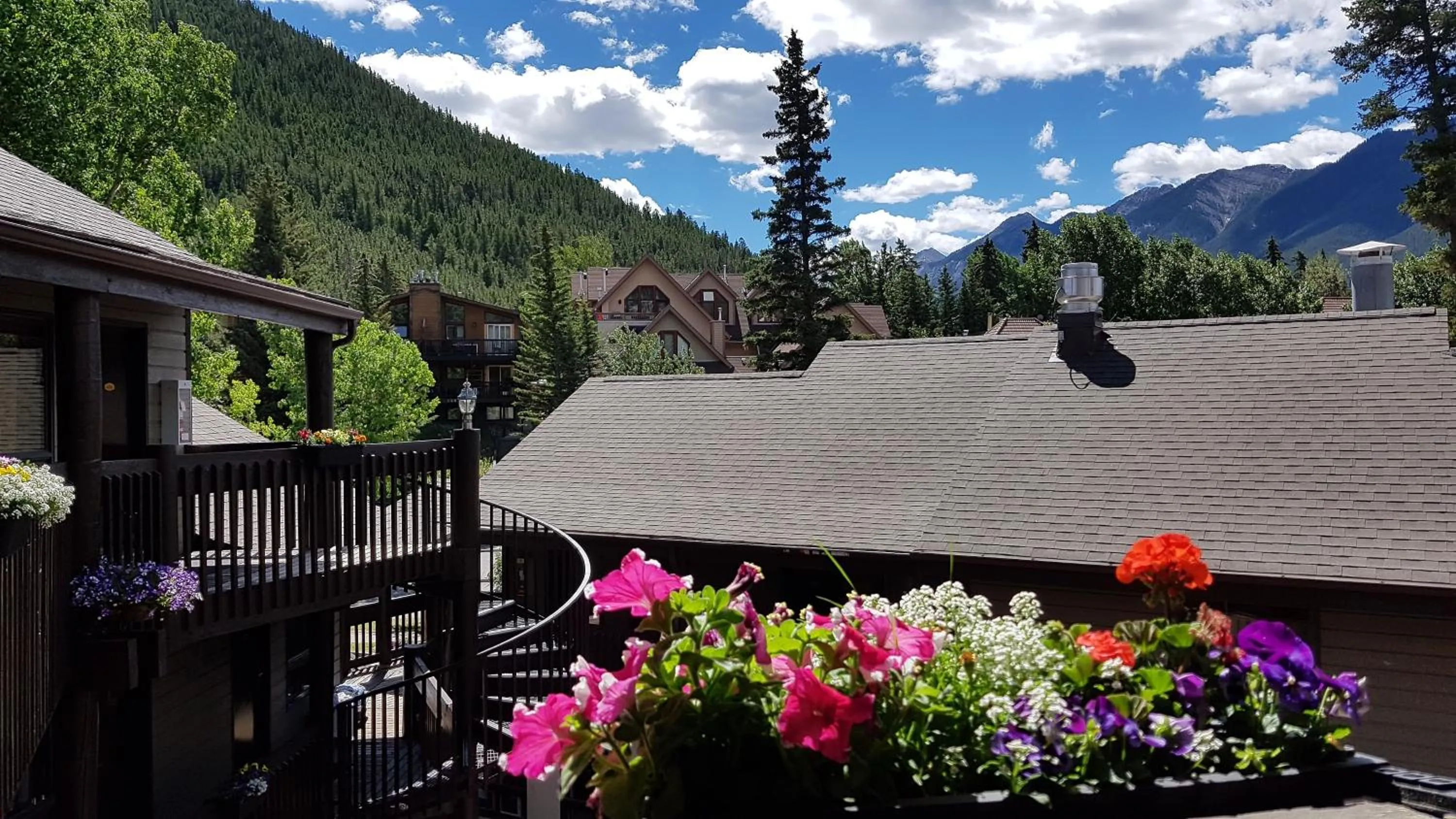 Balcony/Terrace in Banff International Hostel