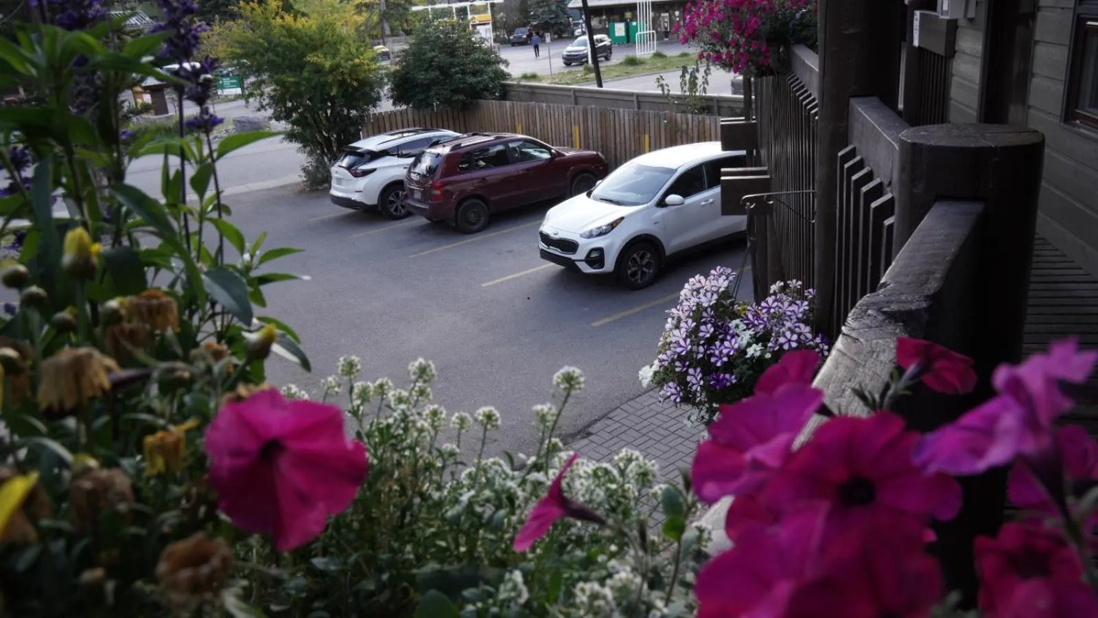 Summer in Banff International Hostel