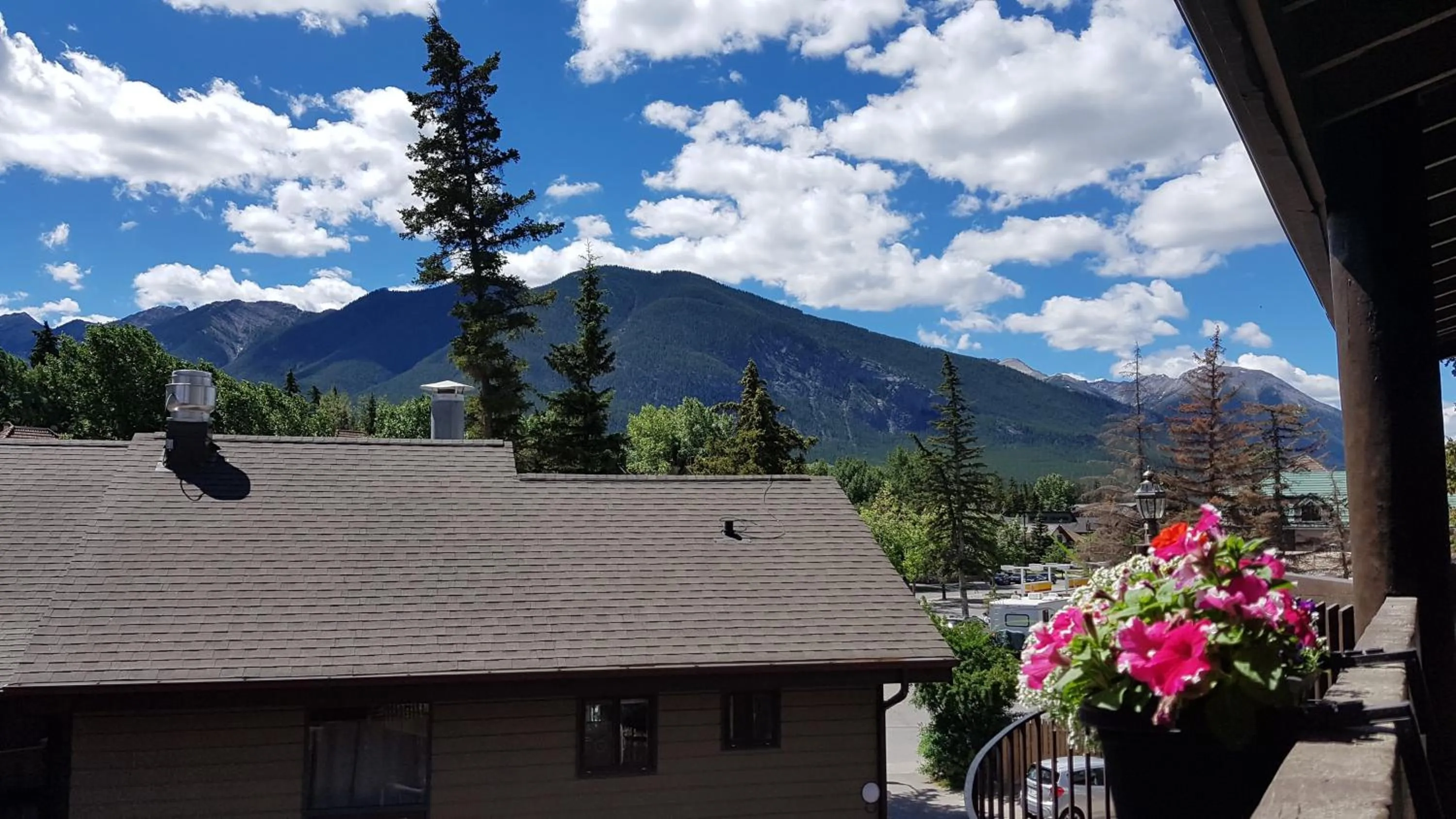 Day in Banff International Hostel