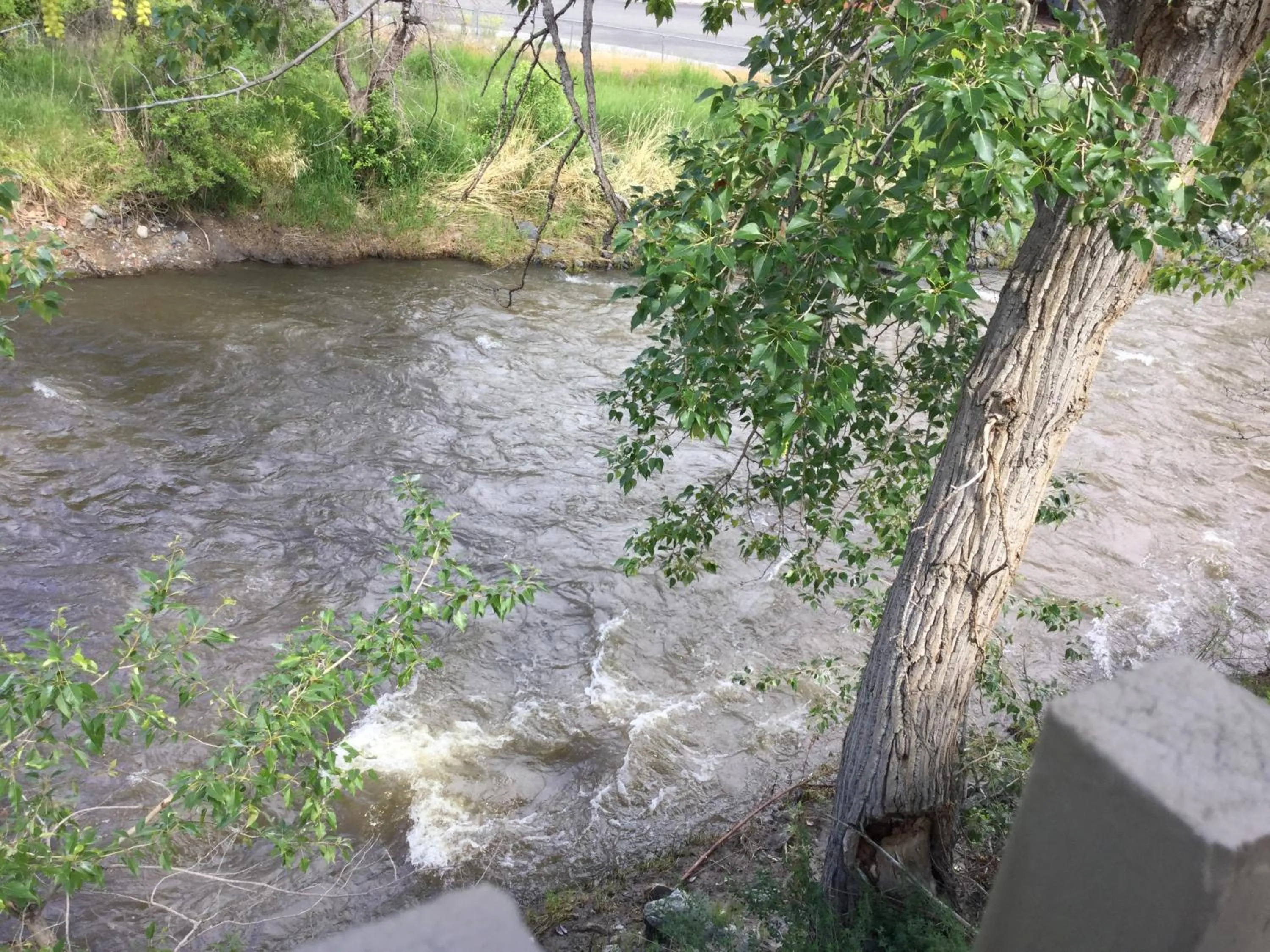 View (from property/room) in Riverside Motel Cache Creek