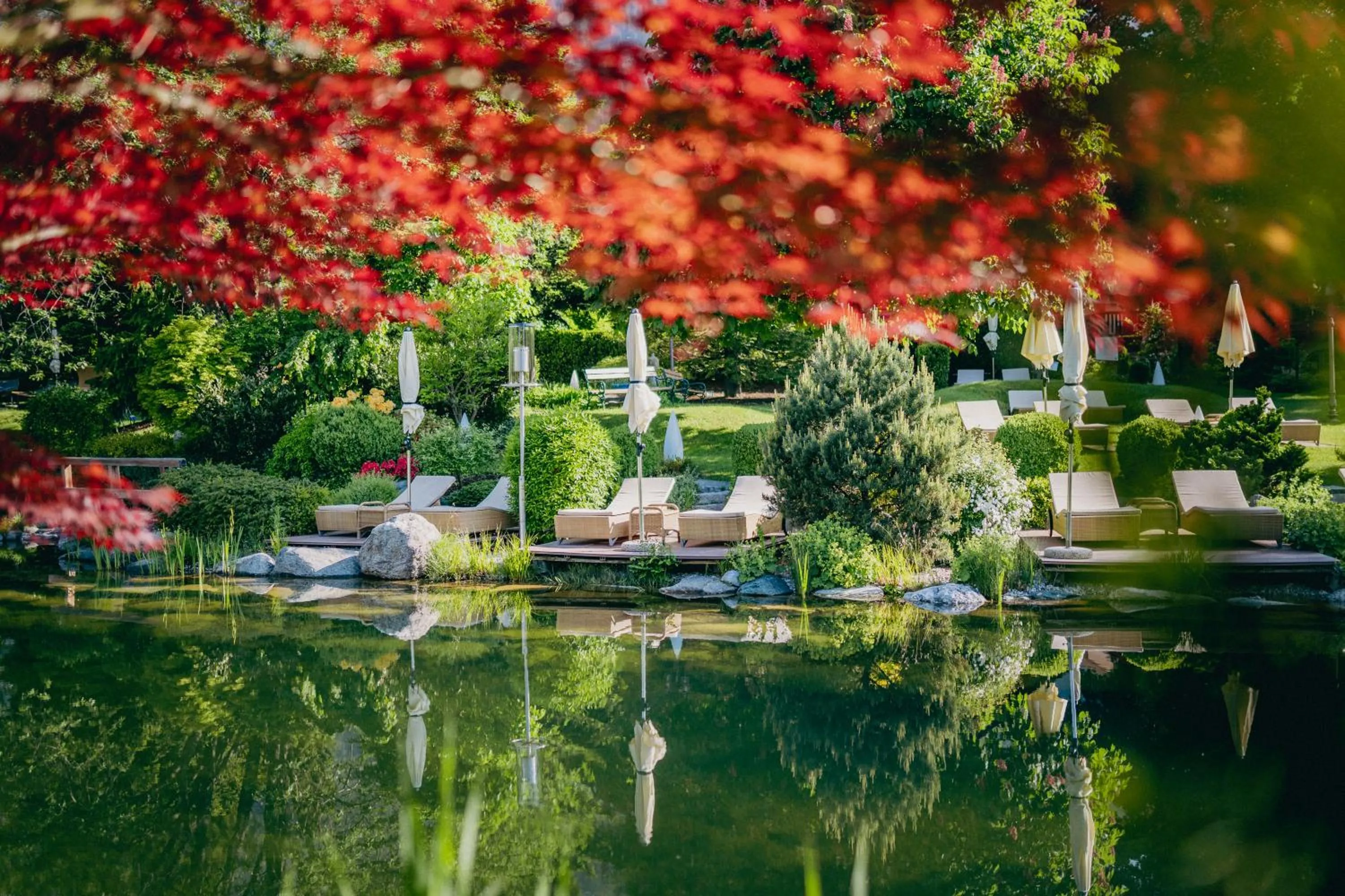 Natural landscape in Cocoon - Alpine Boutique Lodge