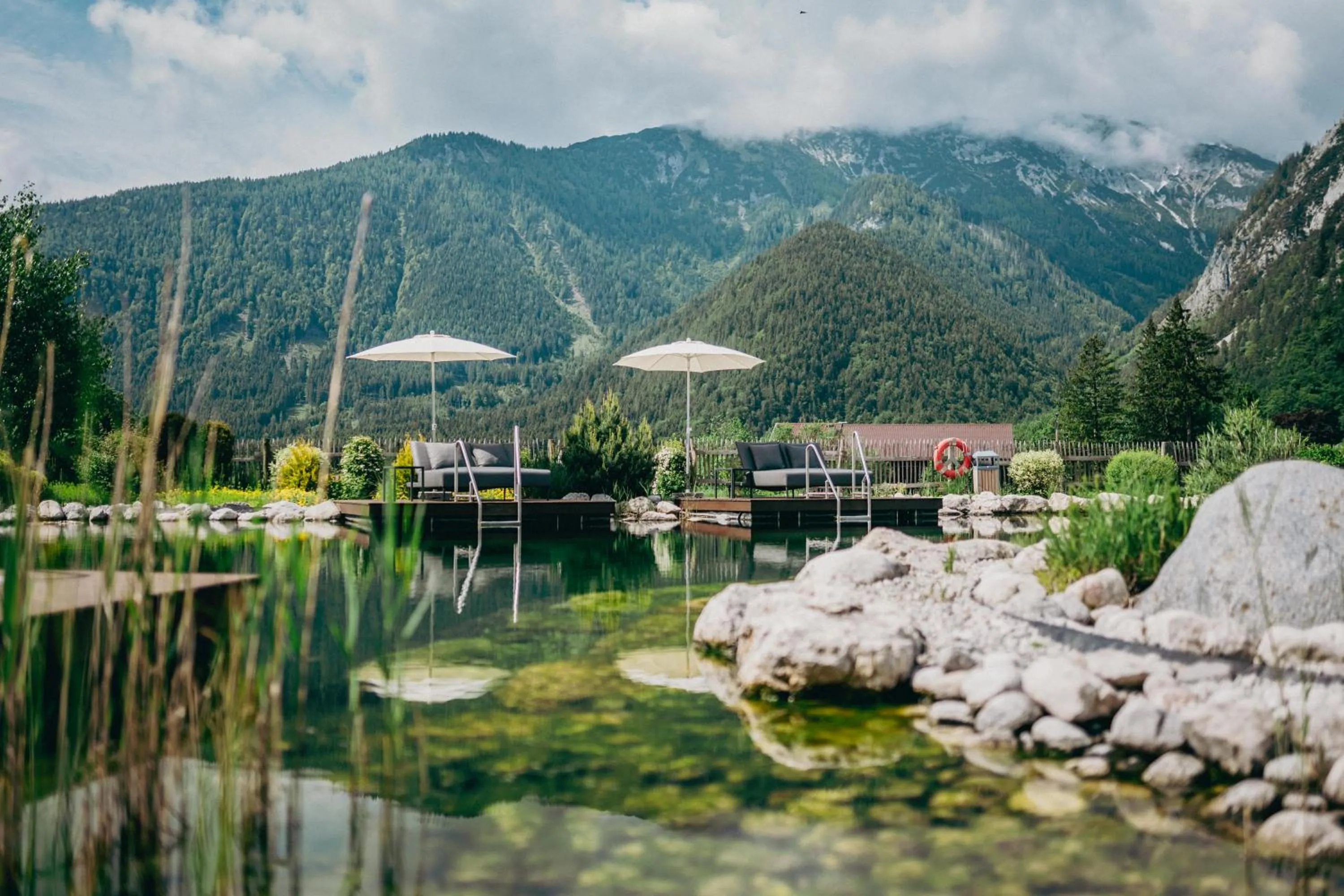 Natural landscape in Cocoon - Alpine Boutique Lodge