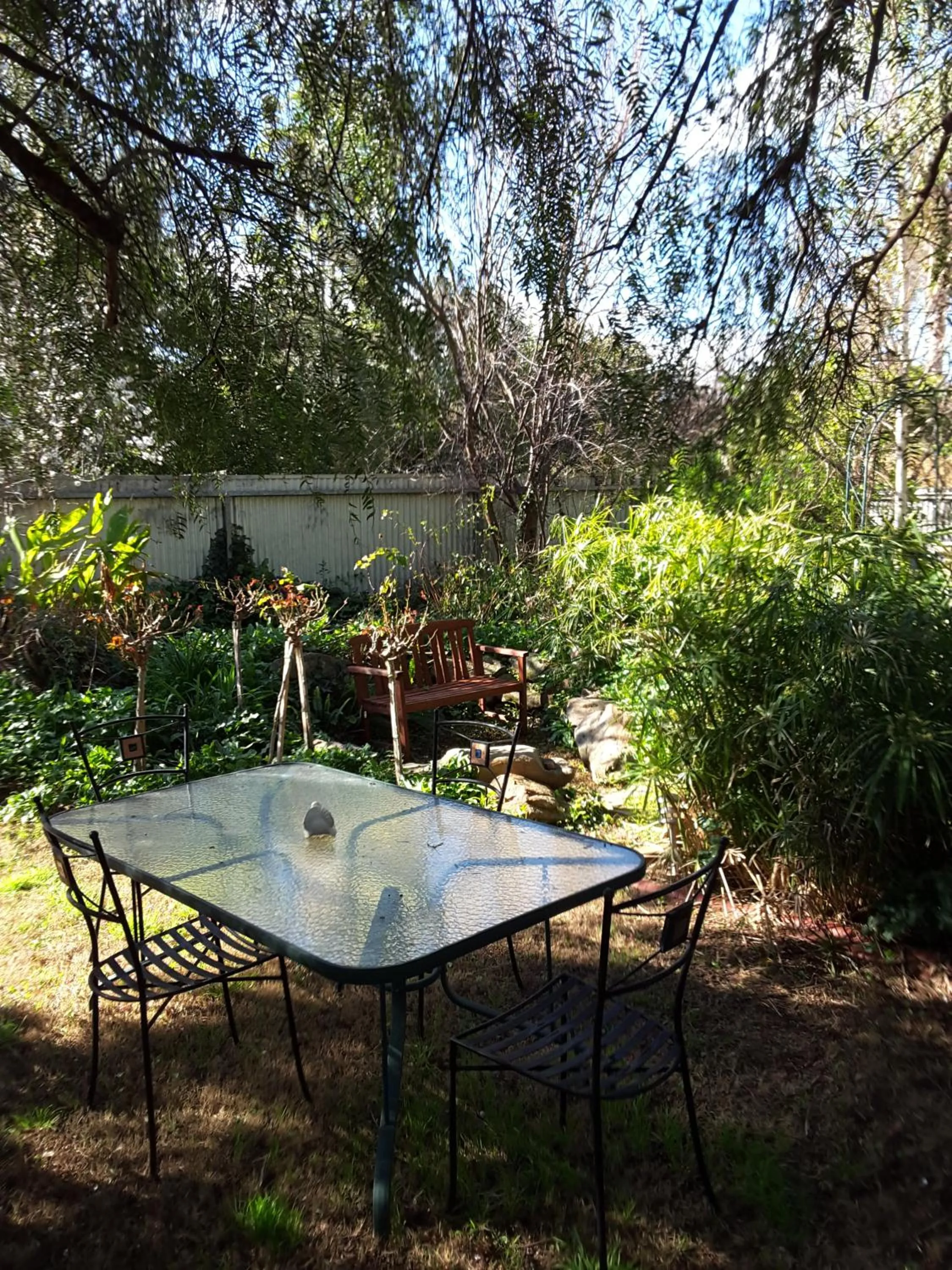 Garden in The Dove Cote