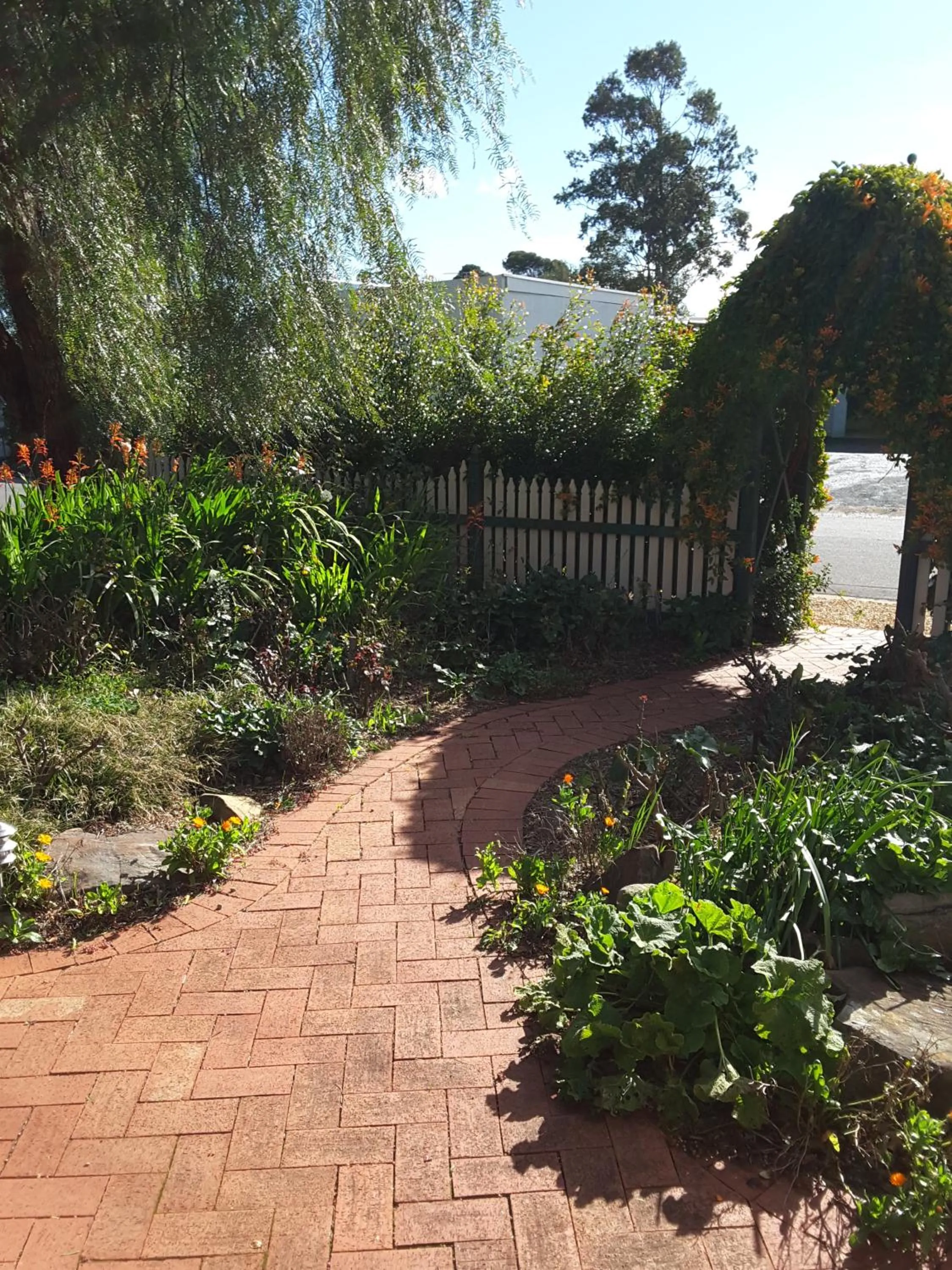 Garden in The Dove Cote