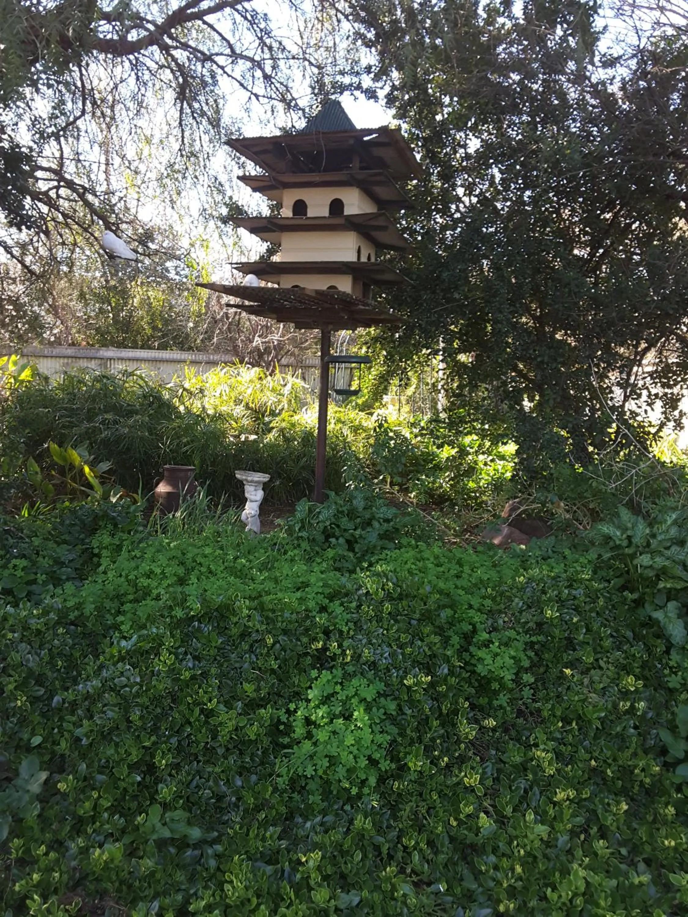 Garden in The Dove Cote