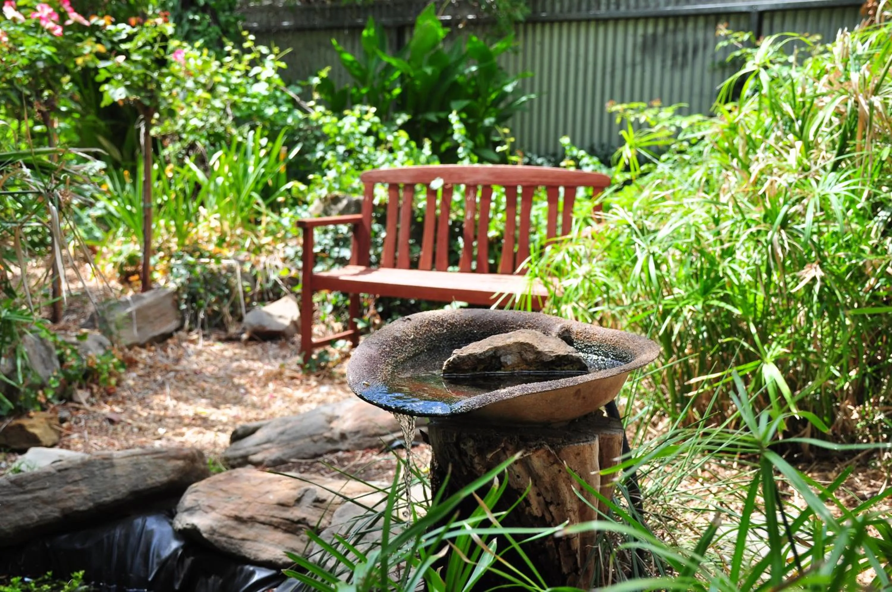 Garden in The Dove Cote